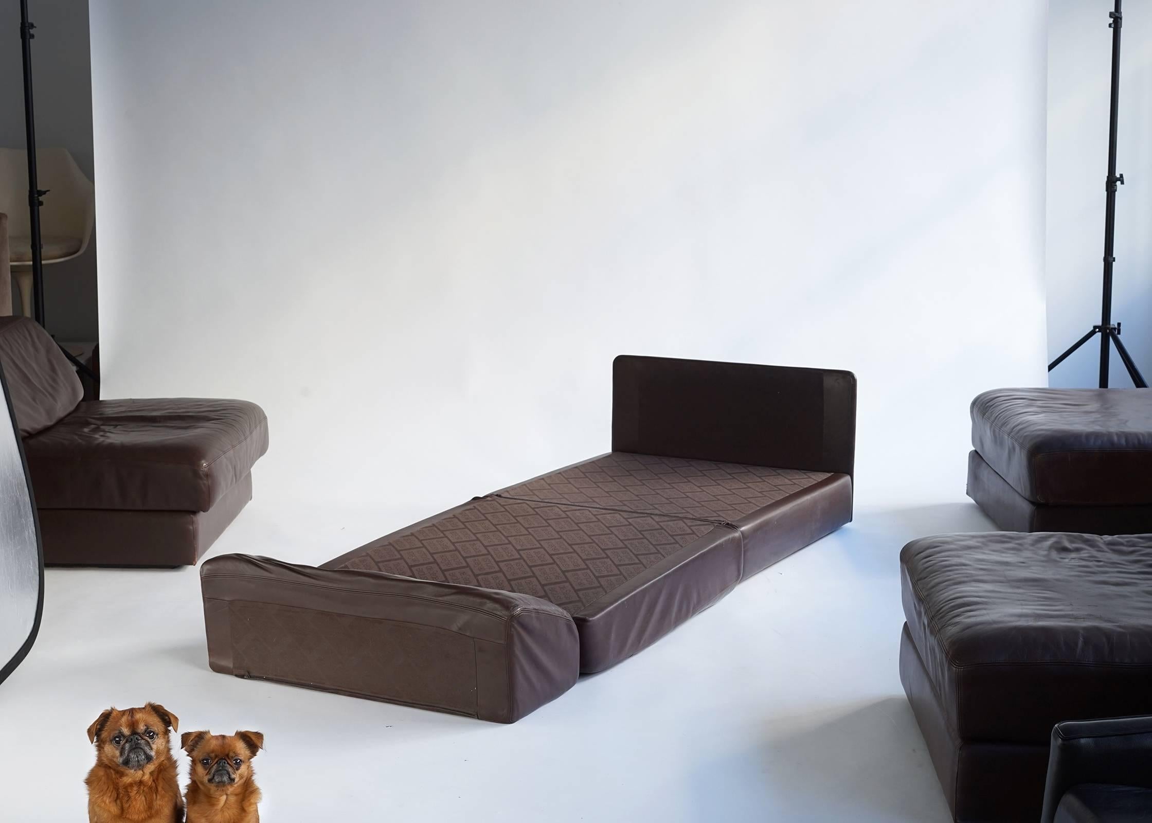 Modern De Sede DS-76 Convertible Sectional Sofa