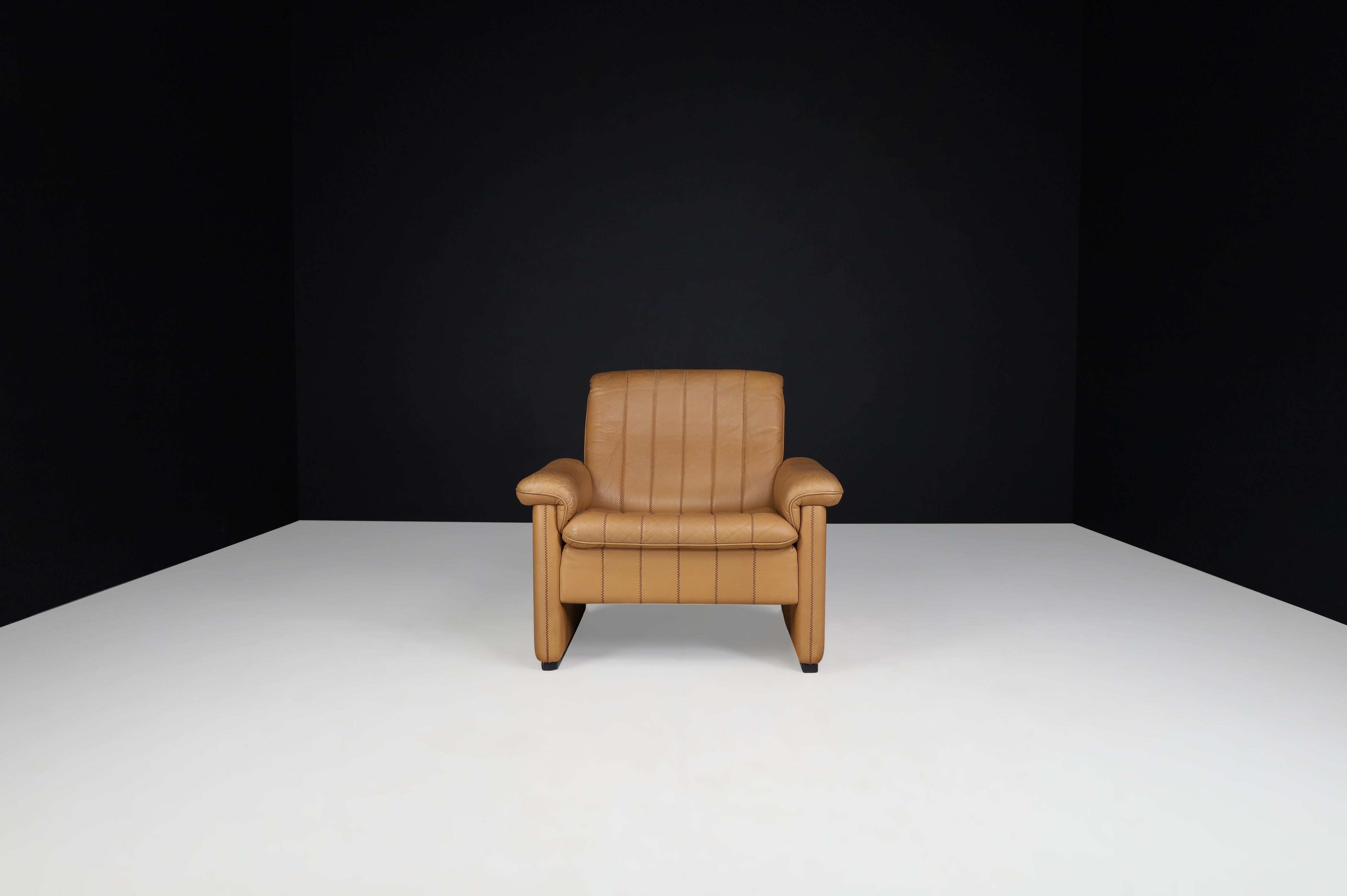 Mid-Century Modern De Sede Ds 83 Lounge Chair in Leather, Switzerland, 1970s