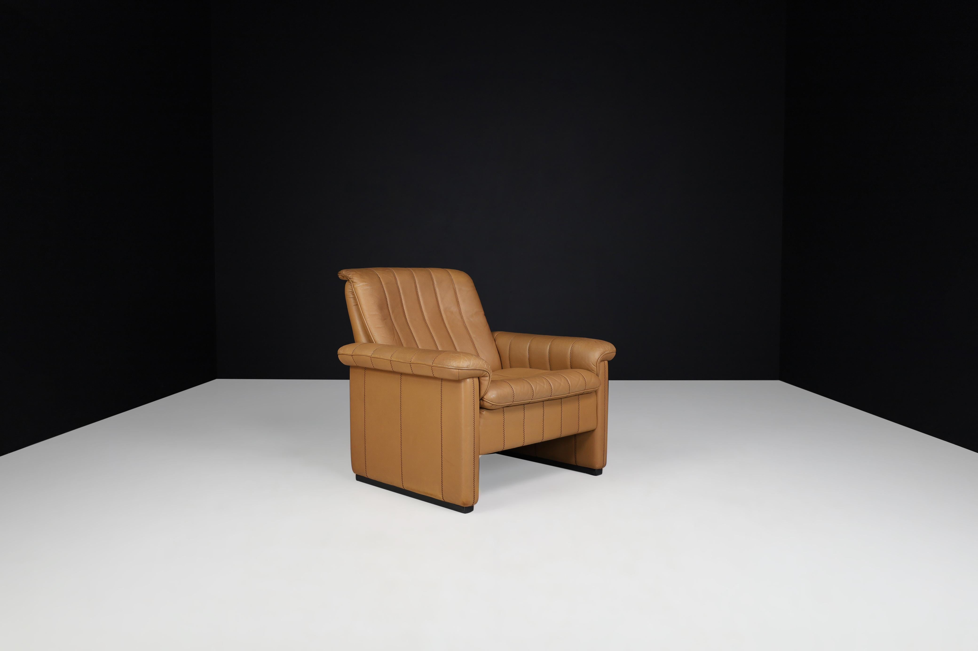 Swiss De Sede Ds 83 Lounge Chair in Leather, Switzerland, 1970s