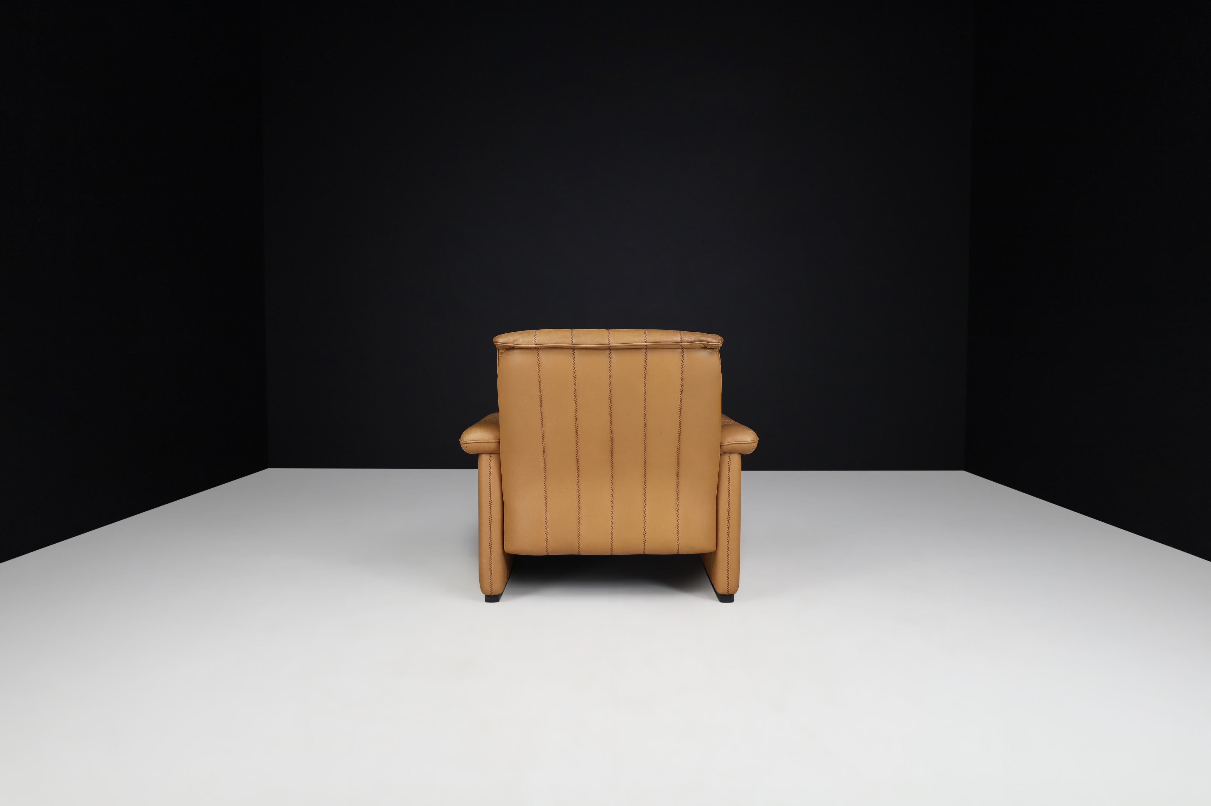 20th Century De Sede Ds 83 Lounge Chair in Leather, Switzerland, 1970s