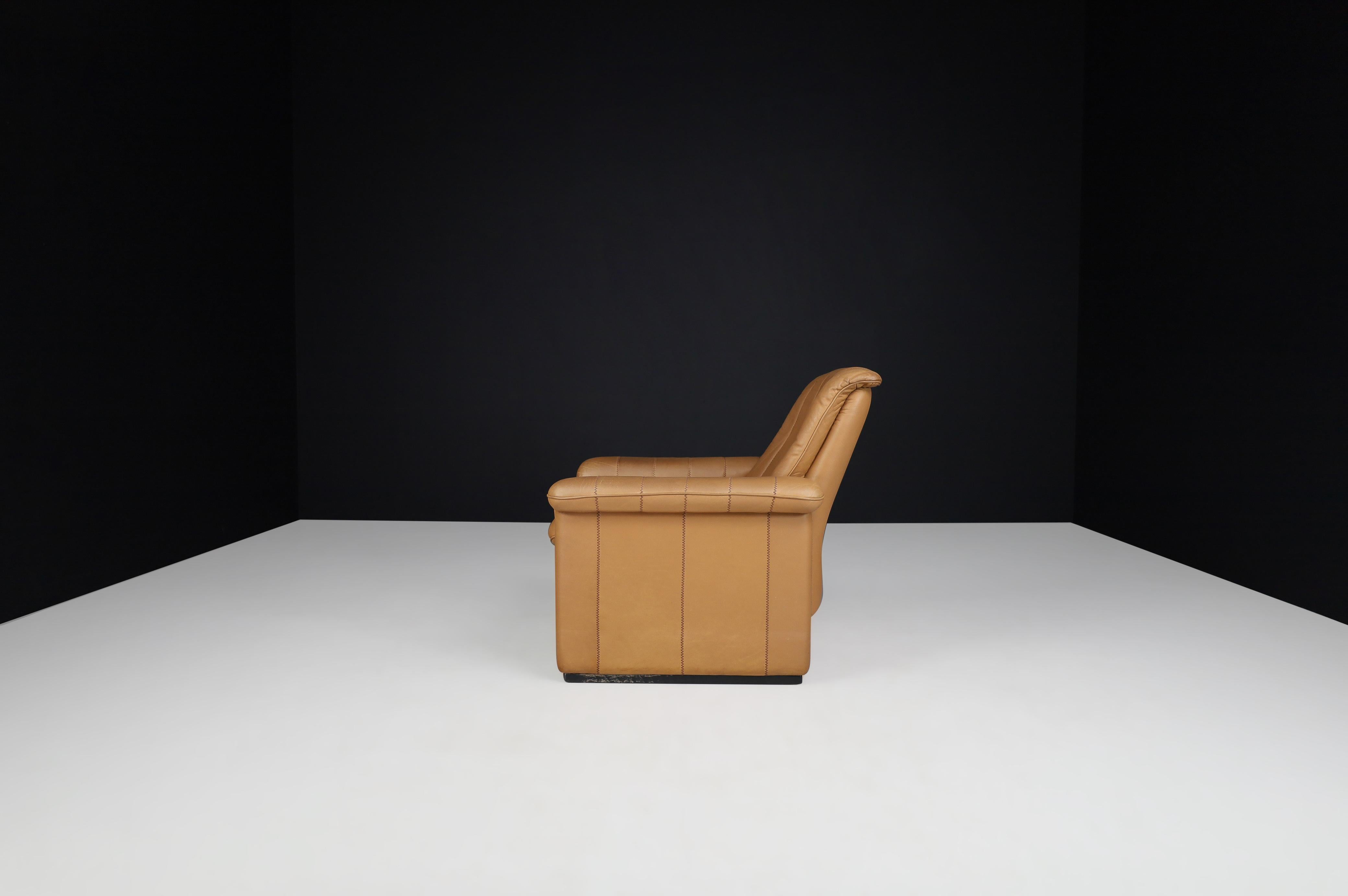 De Sede Ds 83 Lounge Chair in Leather, Switzerland, 1970s 1