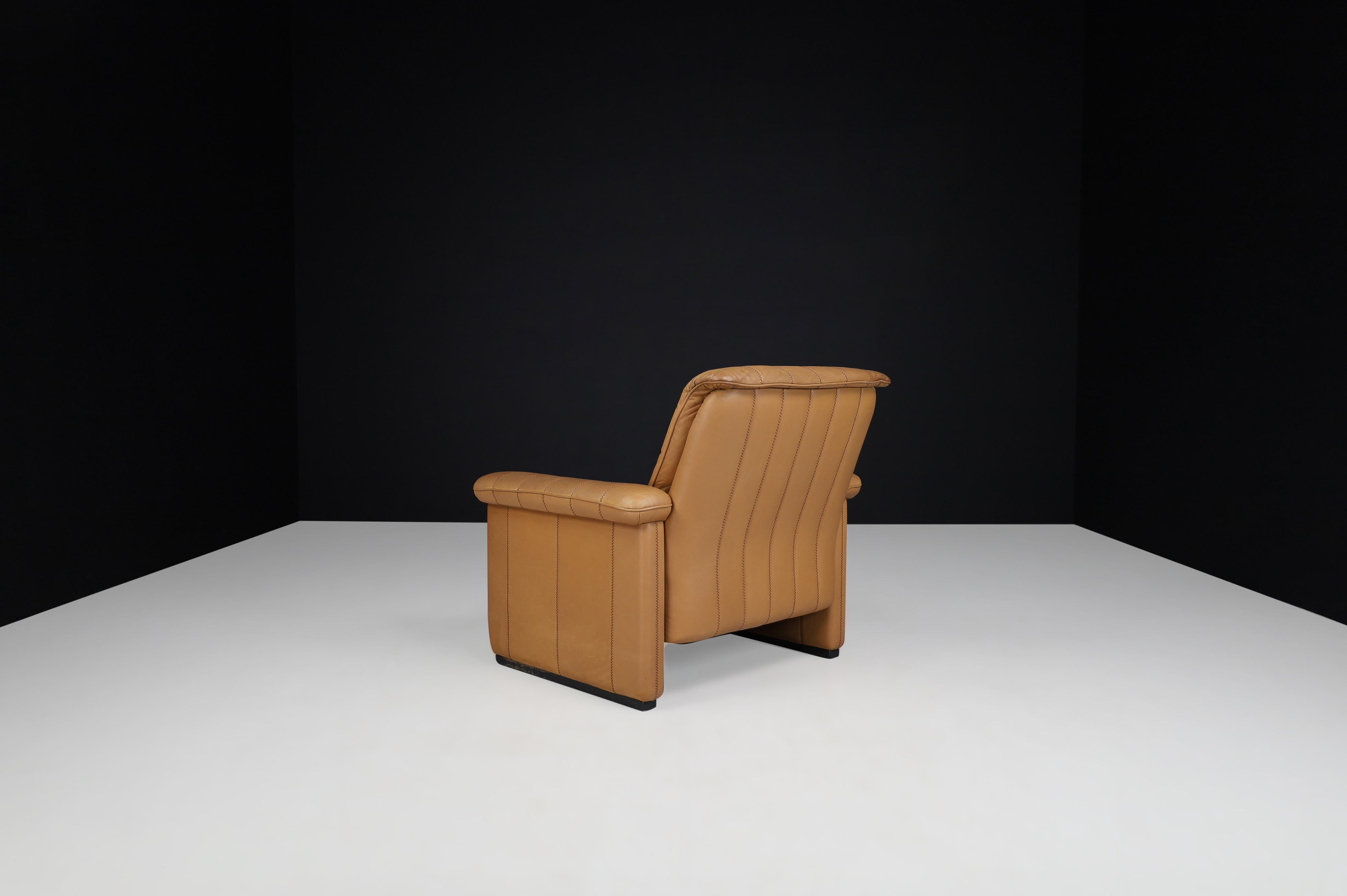 De Sede Ds 83 Lounge Chair in Leather, Switzerland, 1970s 2