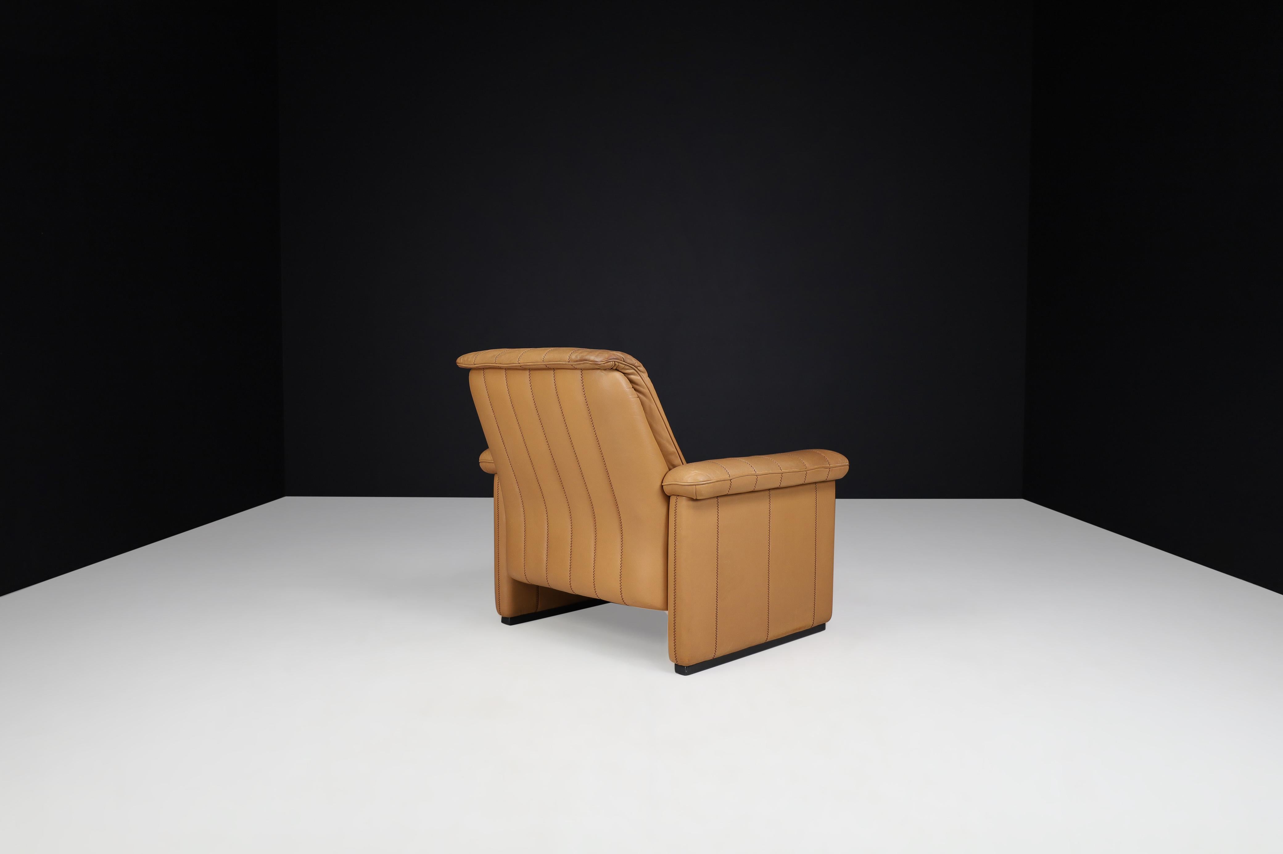 De Sede Ds 83 Lounge Chair in Leather, Switzerland, 1970s 3