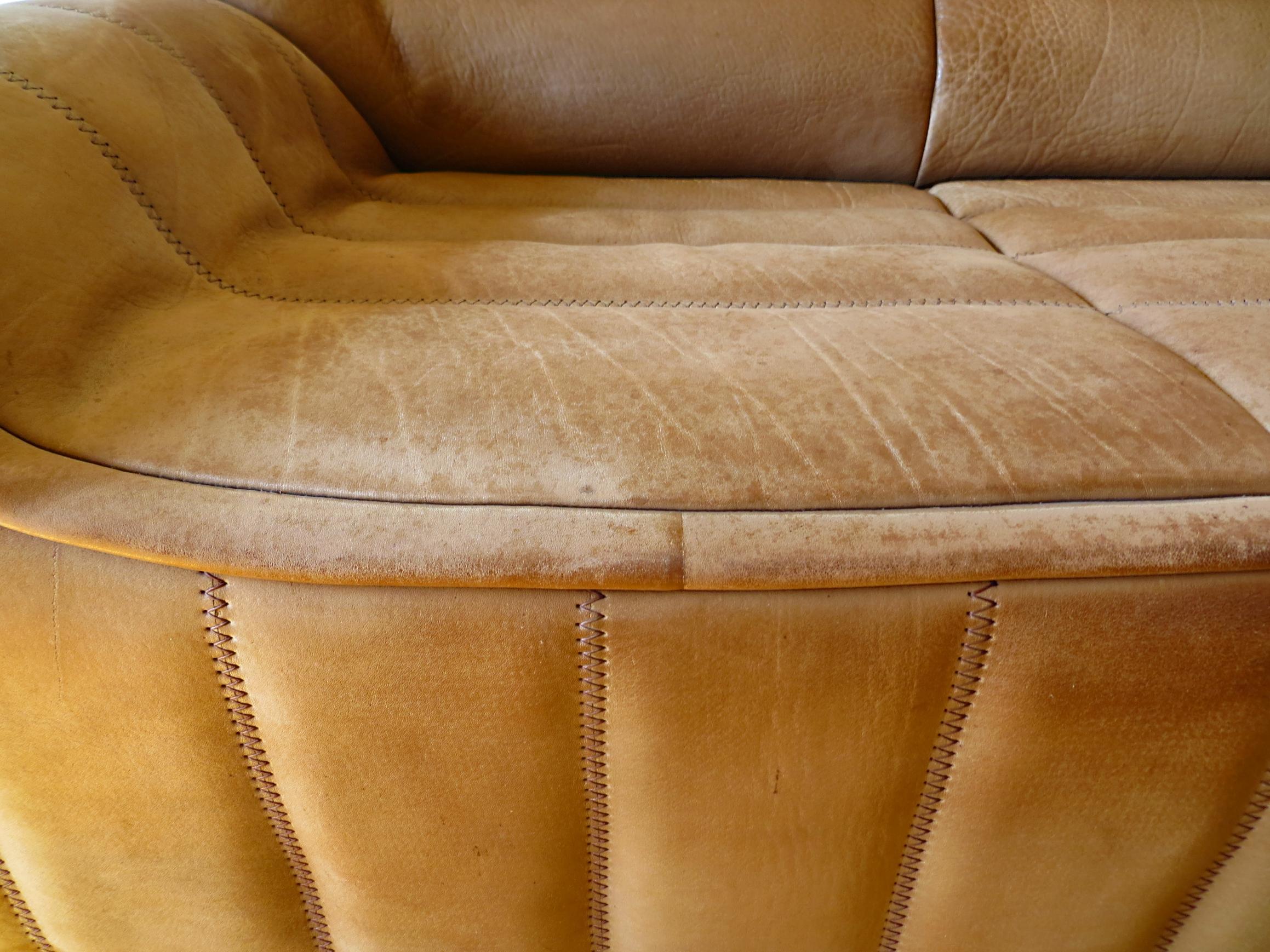De Sede DS-84 Vintage Thick Buffalo Neck Leather 3-Seat Sofa, 1970s 5