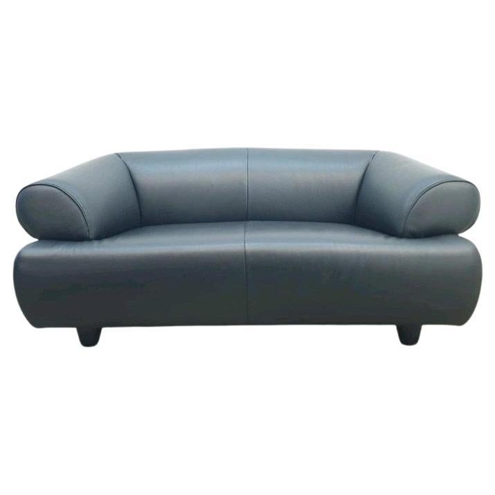 De Sede DS-91 Zweisitzer Sofa Anita Schmidt - • Schwarzes Vollnarbenleder im Angebot
