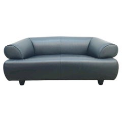De Sede DS-91 Zweisitzer Sofa Anita Schmidt - • Schwarzes Vollnarbenleder