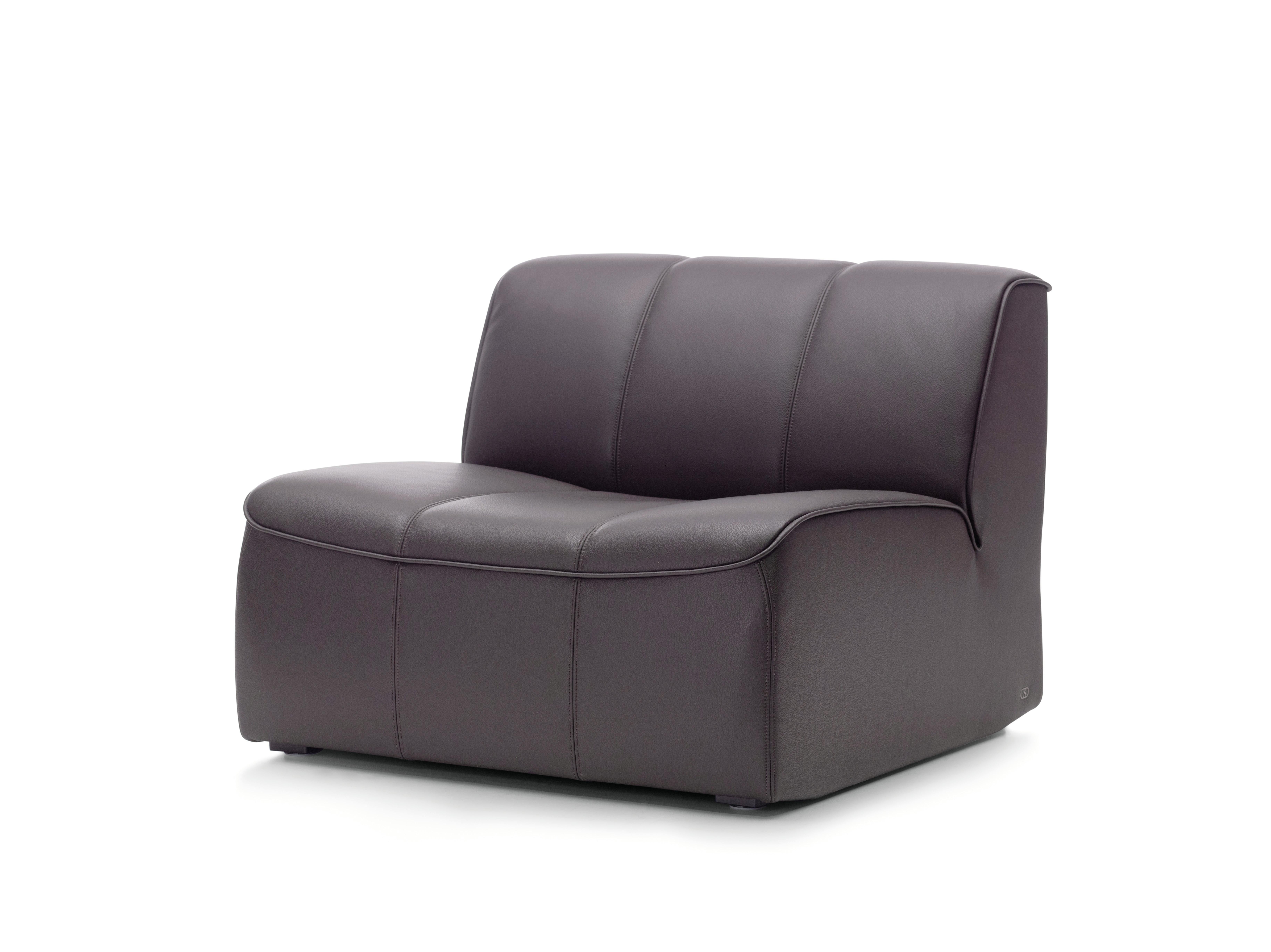 Fauteuil De Sede DS-910 par l'équipe de conception de Sede Neuf - En vente à Brooklyn, NY