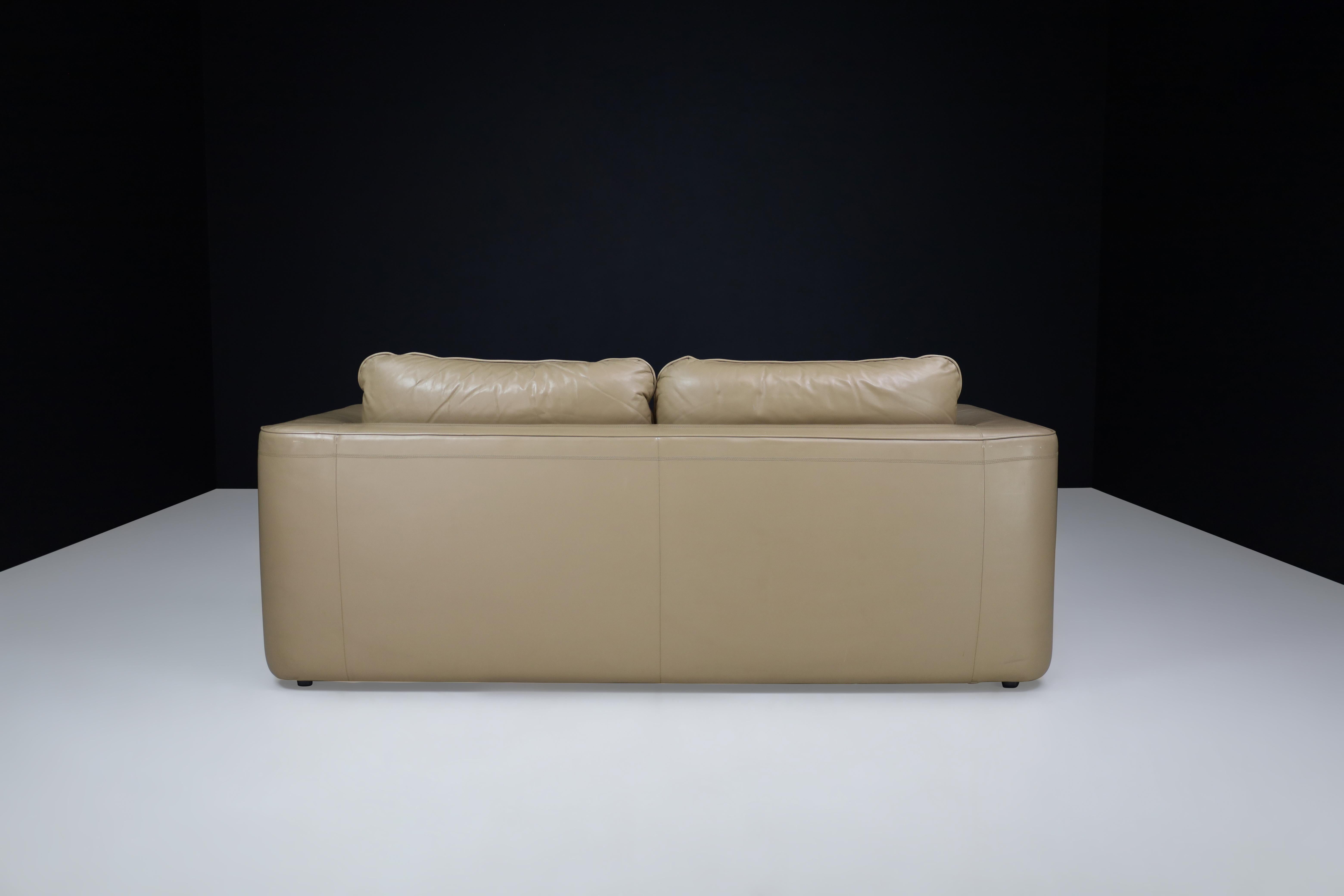 Zweisitzer-Sofa aus Leder von De Sede DS 98, Schweiz 1980   im Angebot 2