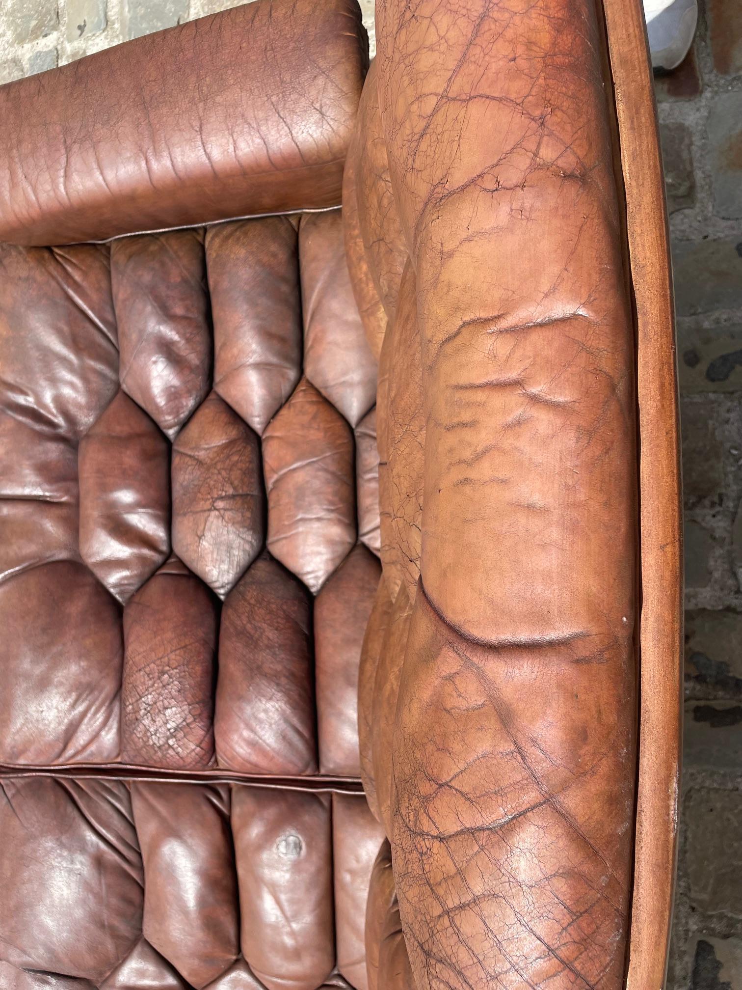 Sillón de 2 plazas De Sede DS35 de Robert Haussman en venta 3