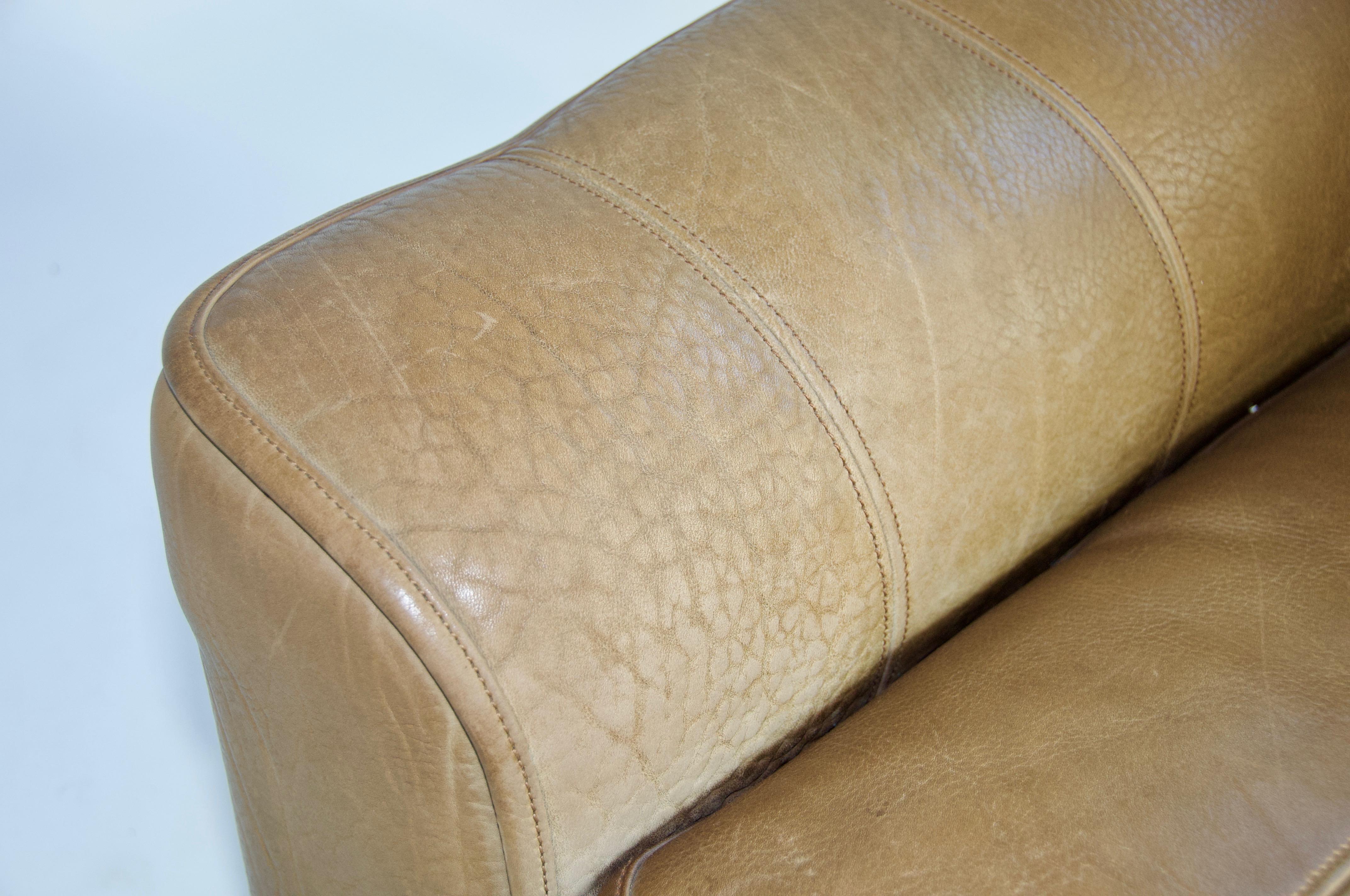 De Sede DS44 Leather Sofa For Sale 2