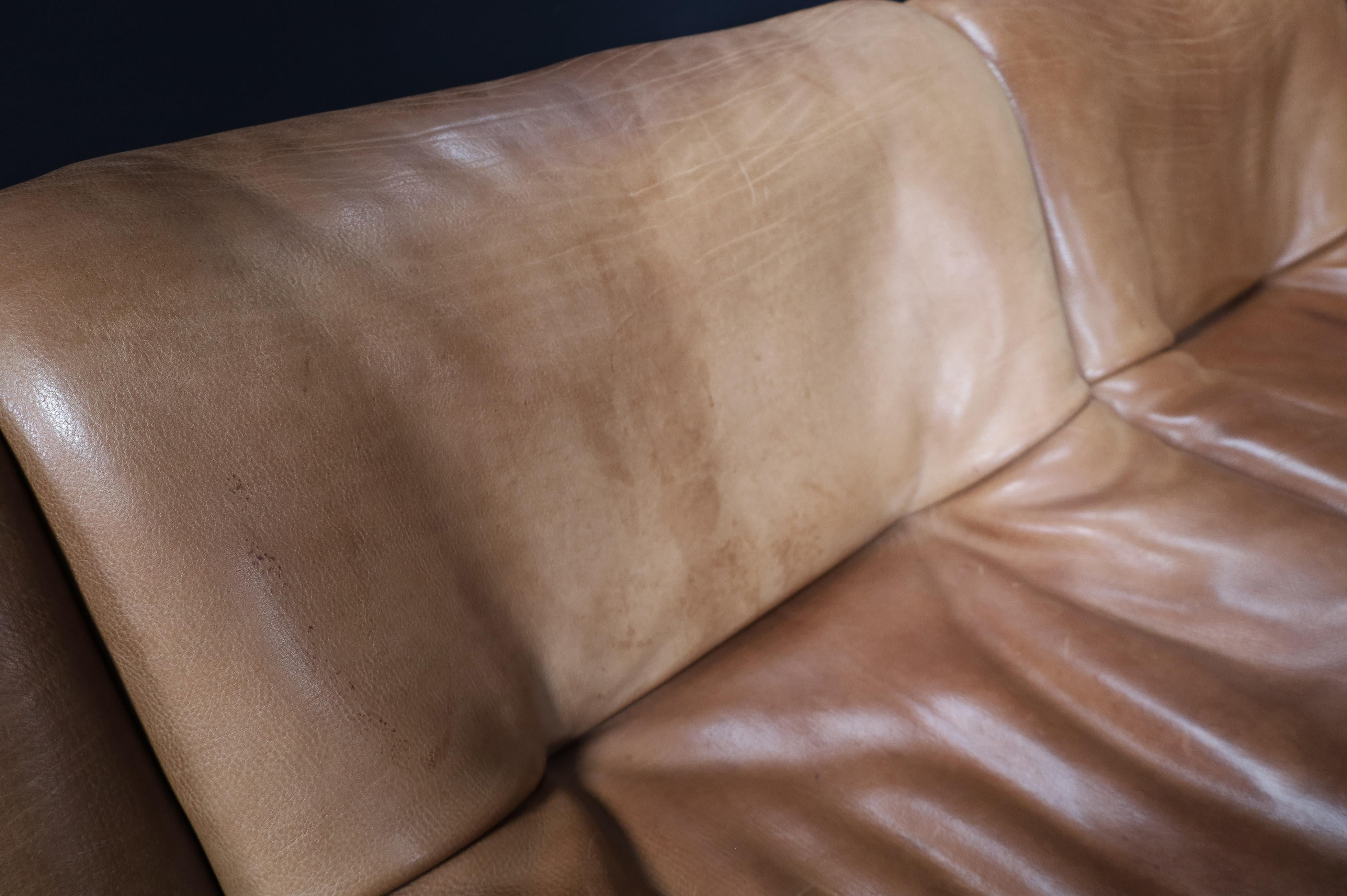 Canapé-lit sectionnel De Sede Ds46 en cuir de buffle, Suisse, années 1970 en vente 6