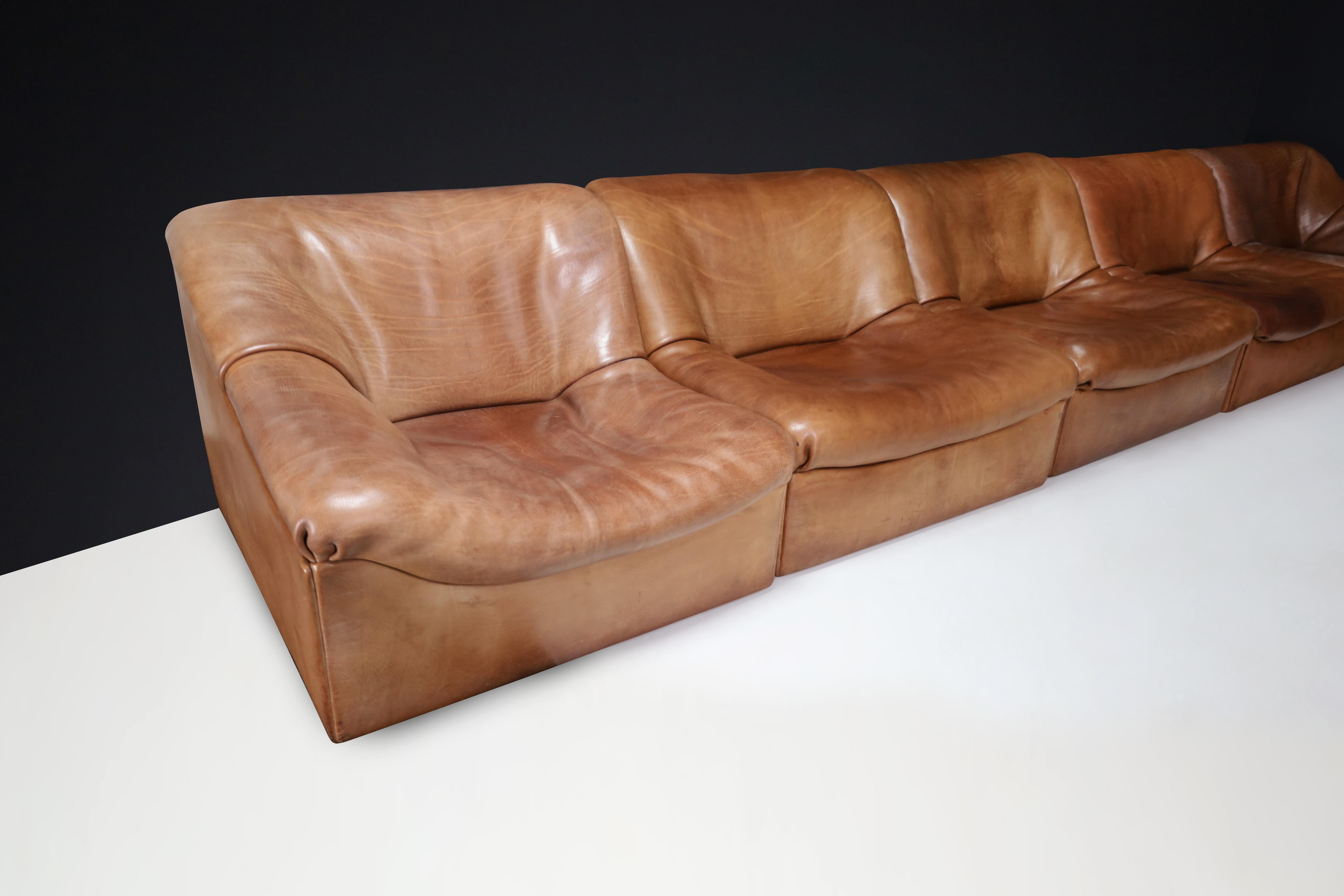 De Sede Ds46 Sectional Sofa-Livingroomset in Buffalo Leather, Switzerland 1970s For Sale 1