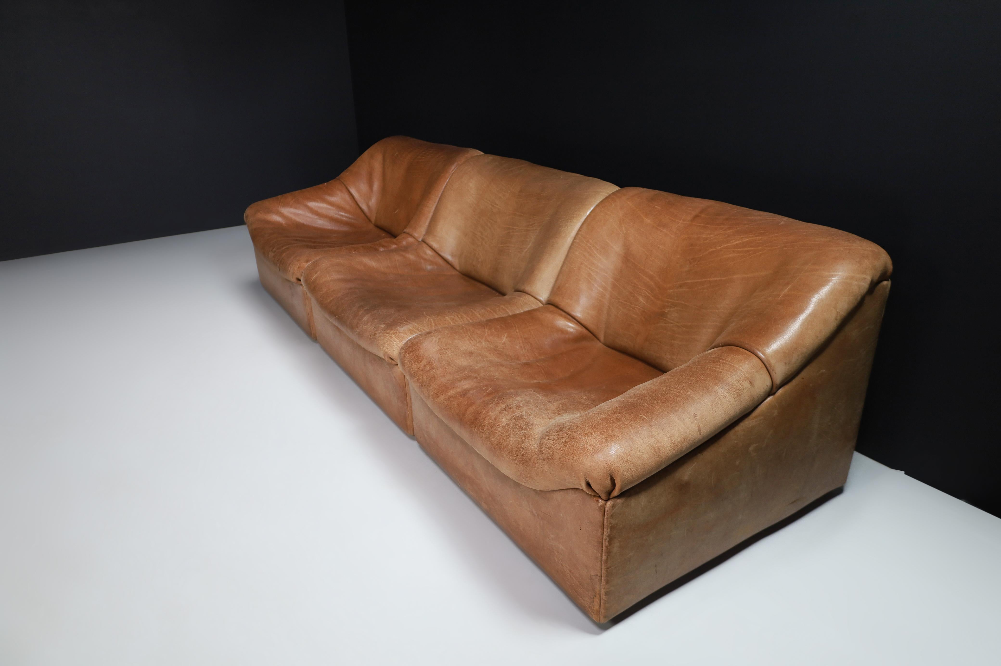 20th Century De Sede Ds46 Sectional Sofa-Livingroomset in Buffalo Leather, Switzerland 1970s For Sale