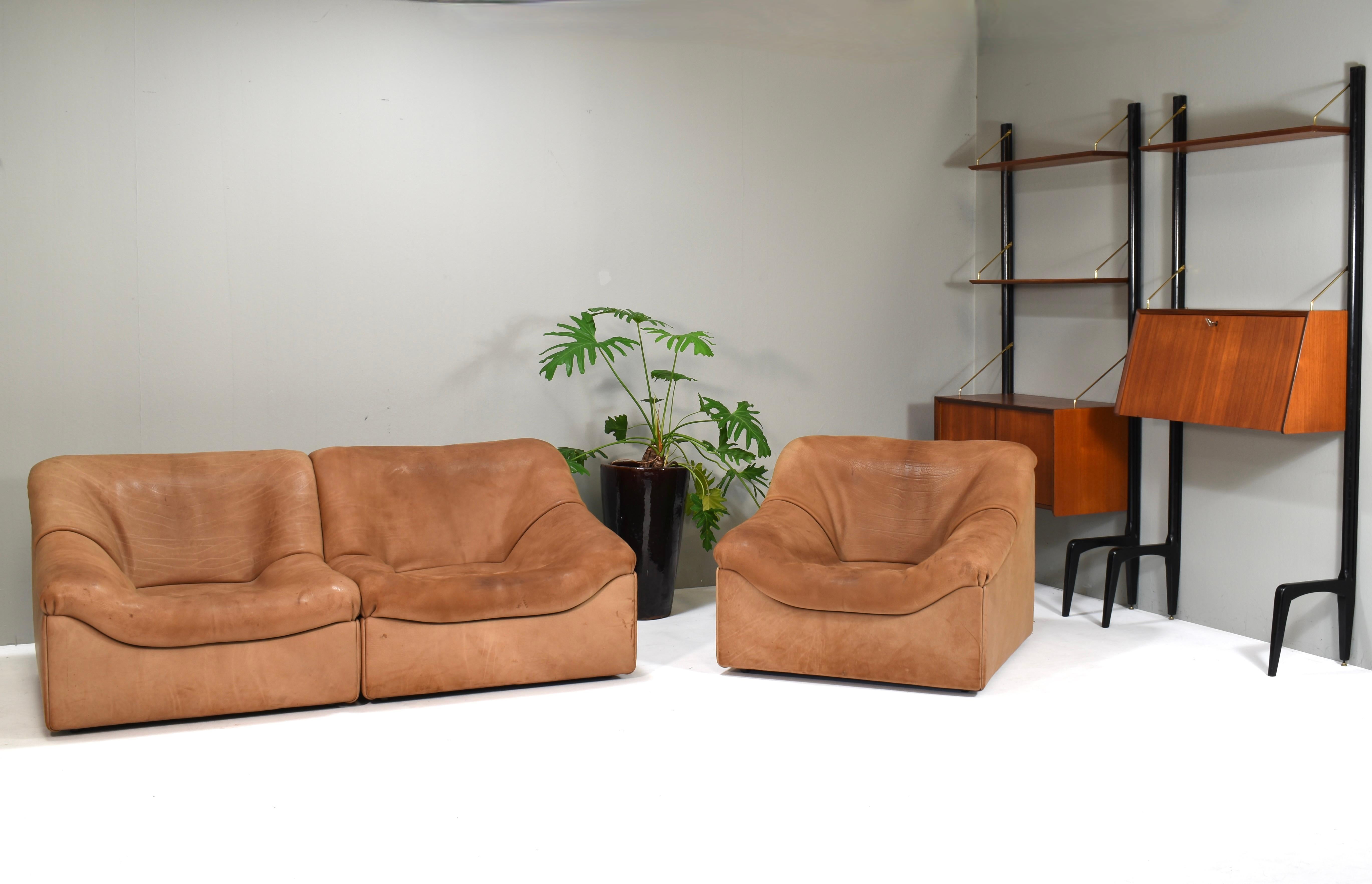 Poltrona De Sede DS46 Tan Buffalo Leather Lounge, Svizzera - 1976 in vendita 2