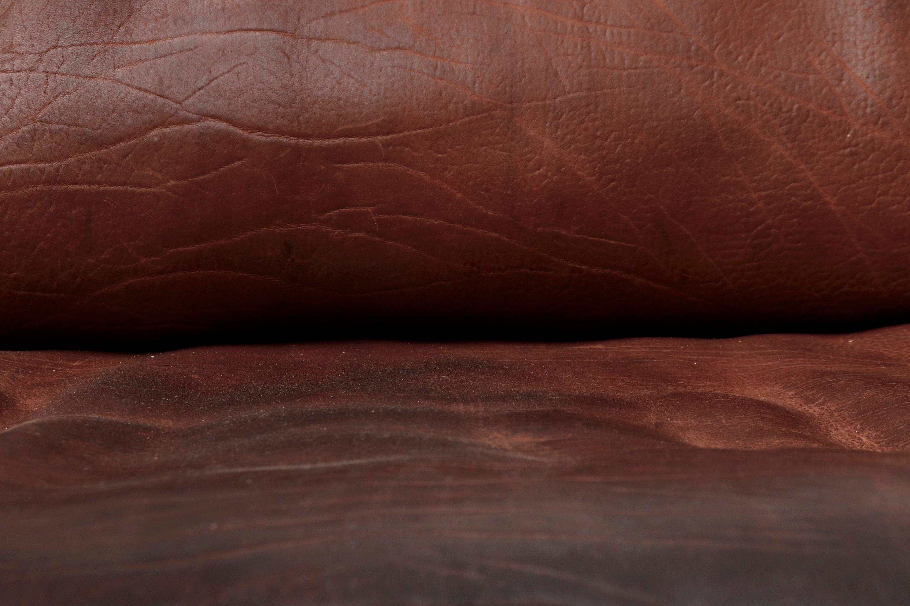 De Sede DS47 Buffalo Leather Love Seat 6