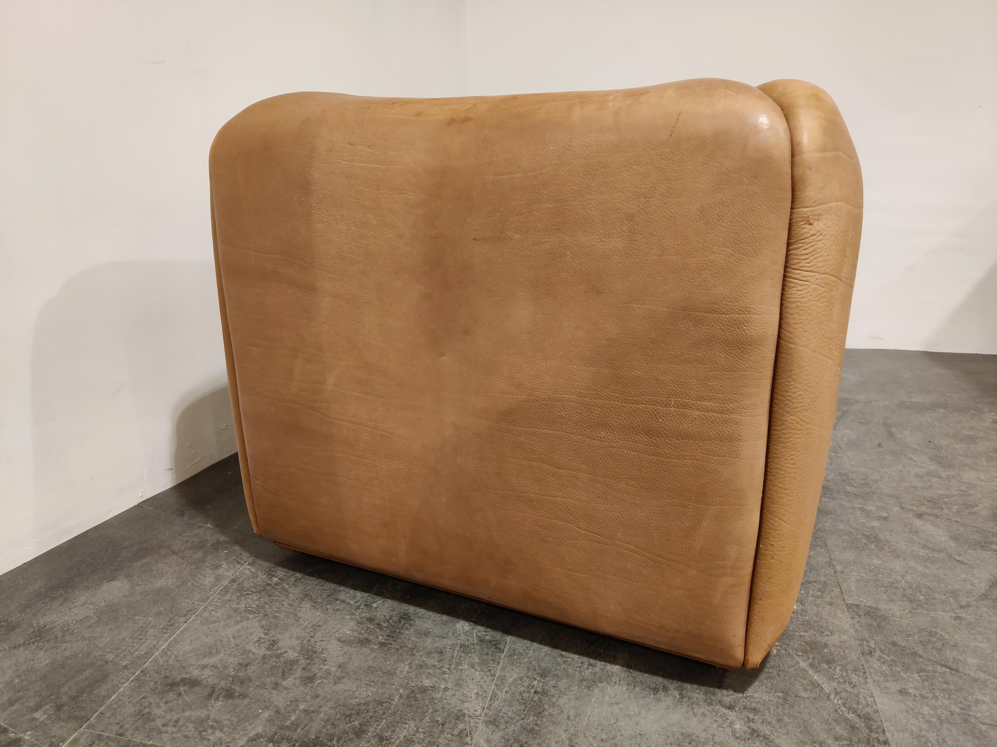 De Sede DS47 Sofa Set, 1960s 2