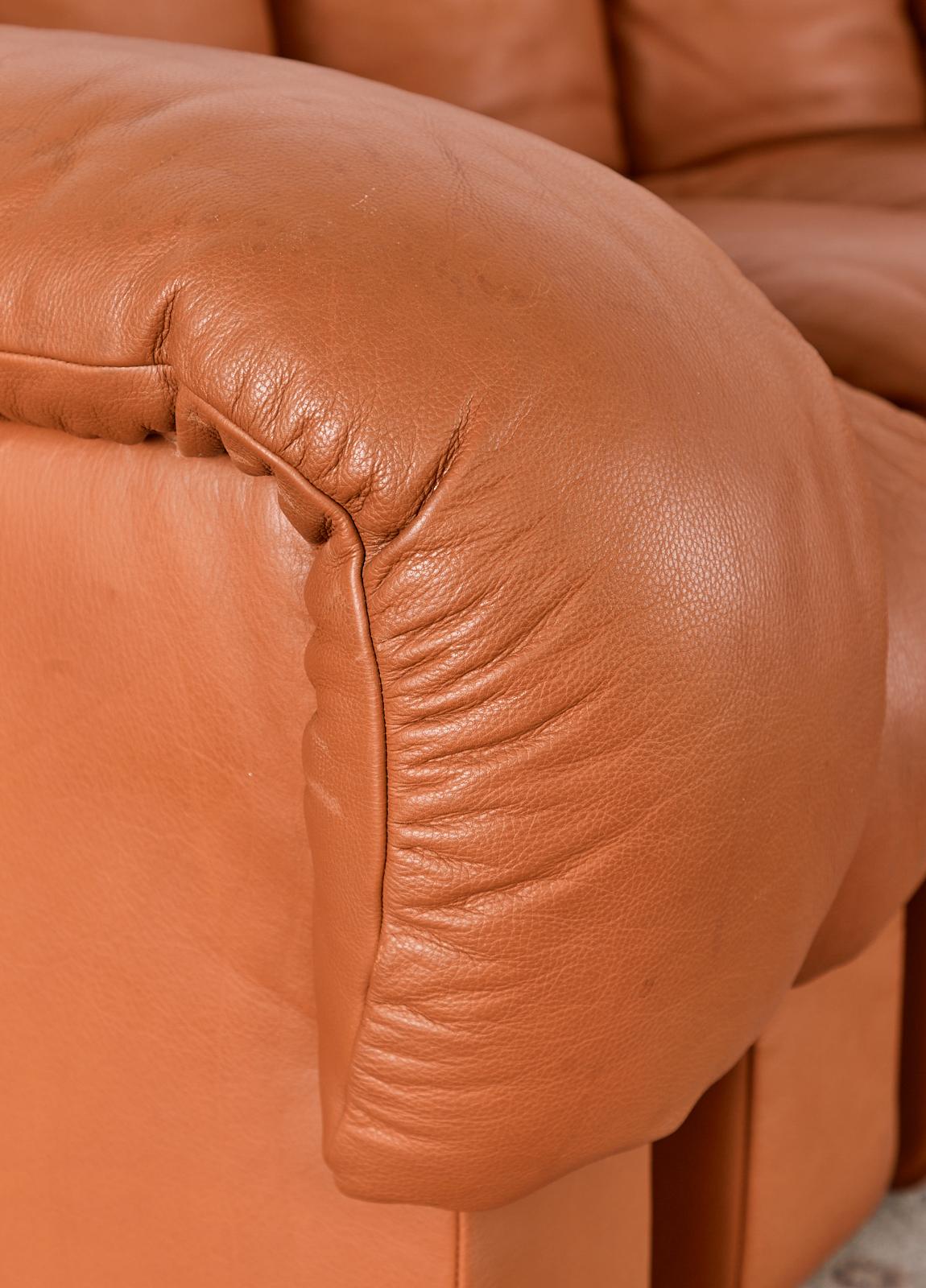 De Sede DS600 Cognac Leather Sectional Non-Stop Snake Sofa 3