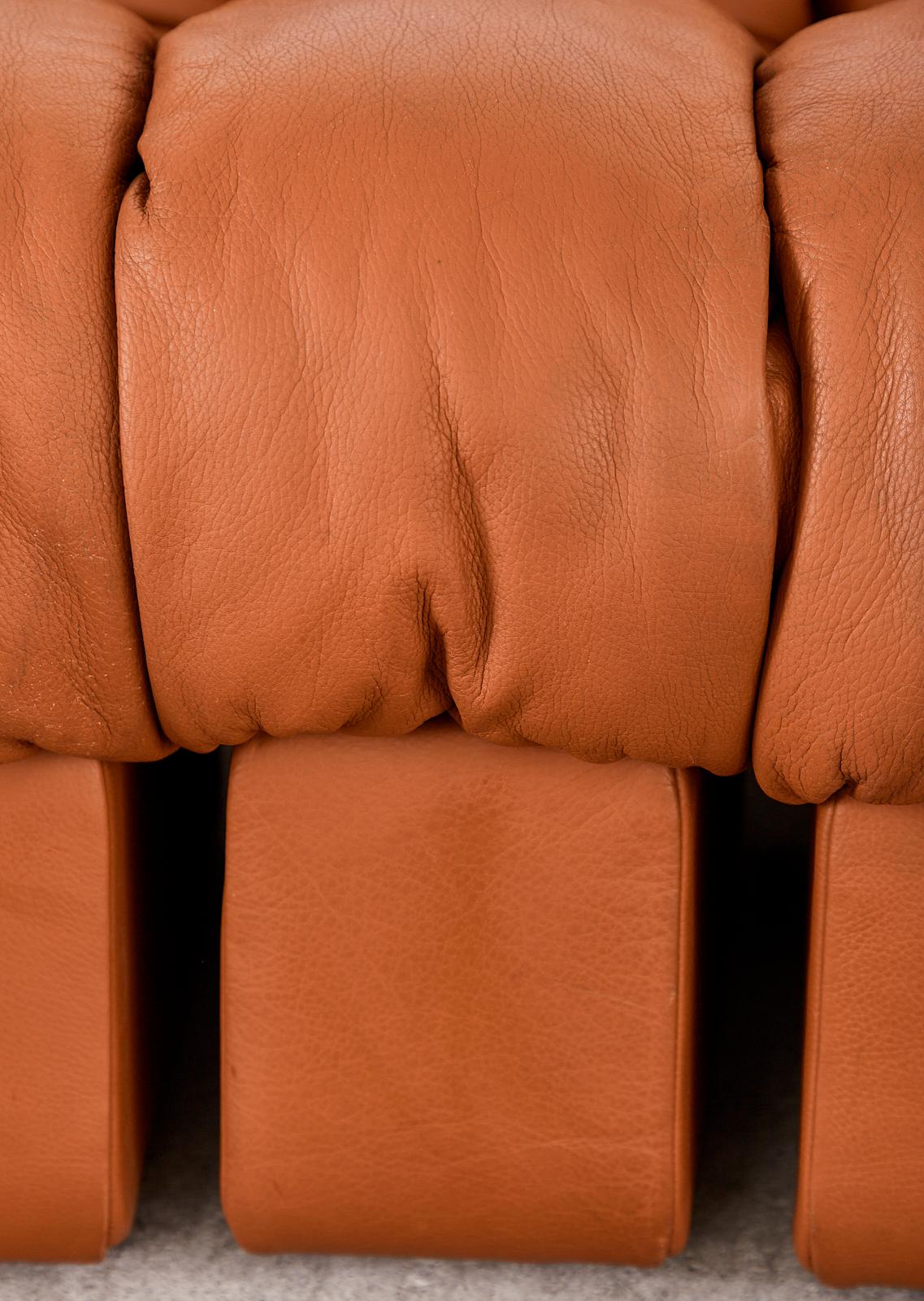 De Sede DS600 Cognac Leather Sectional Non-Stop Snake Sofa 5