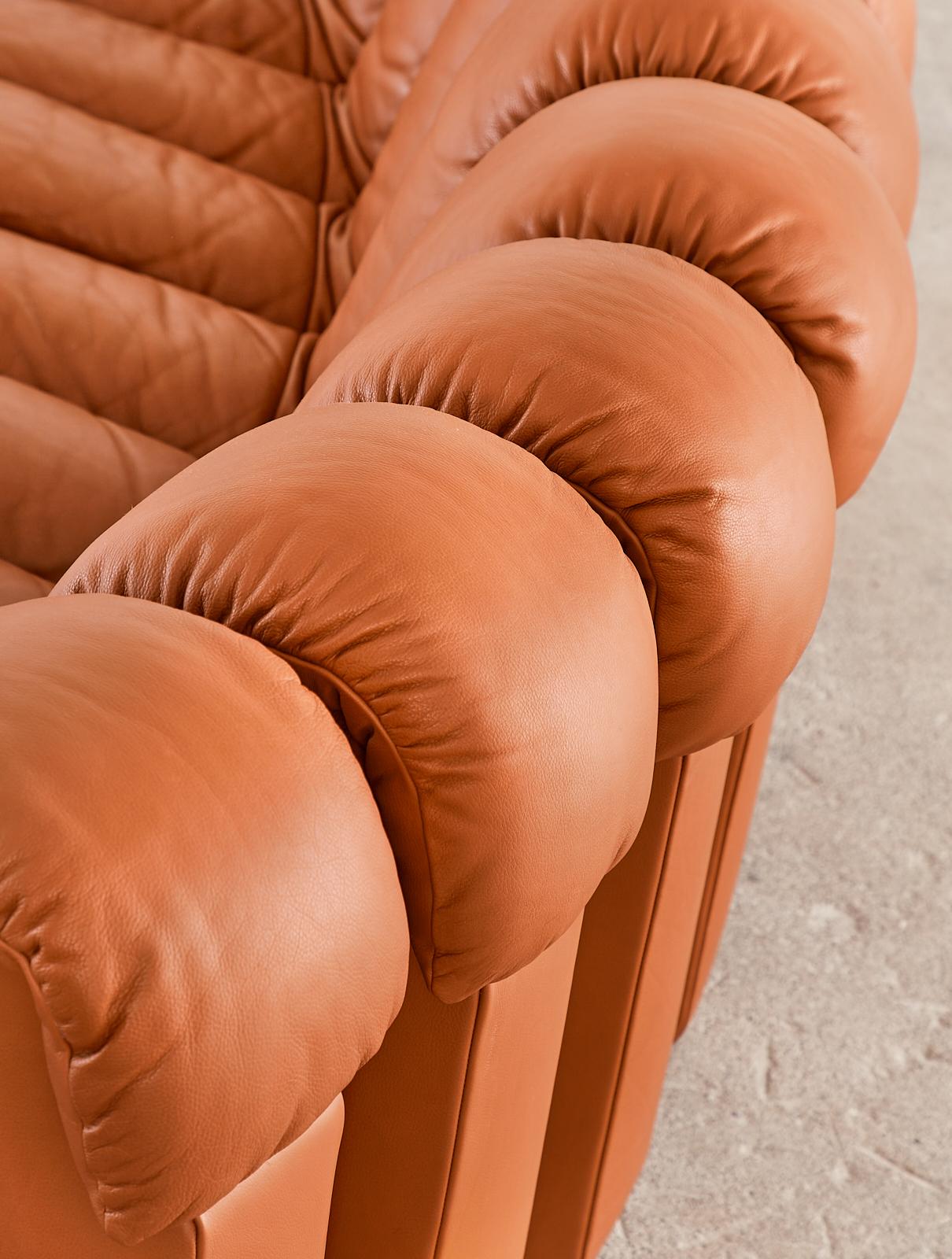 De Sede DS600 Cognac Leather Sectional Non-Stop Snake Sofa 10