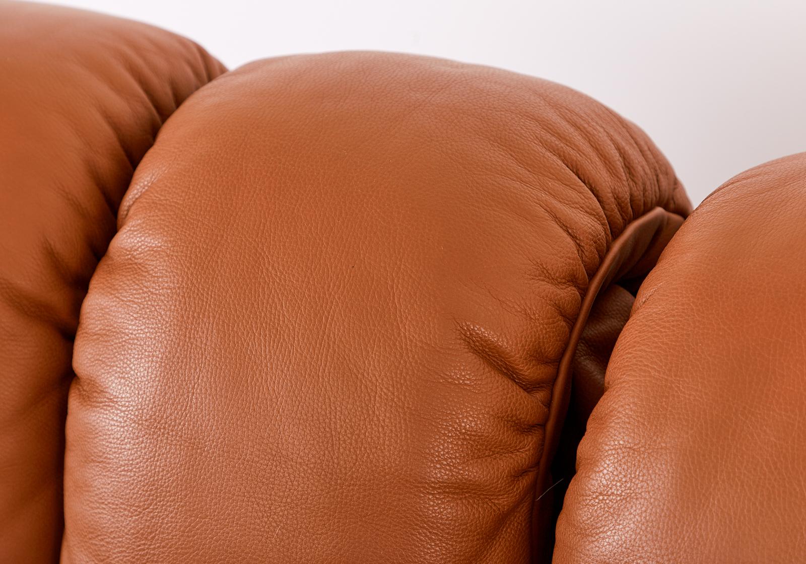 De Sede DS600 Cognac Leather Sectional Non-Stop Snake Sofa 11