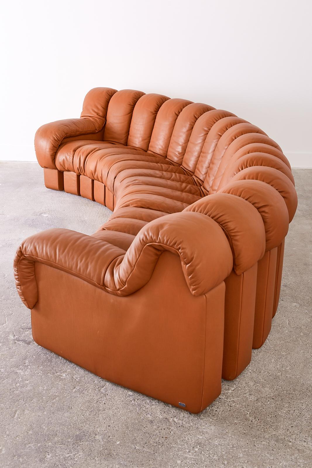 Mid-Century Modern De Sede DS600 Cognac Leather Sectional Non-Stop Snake Sofa