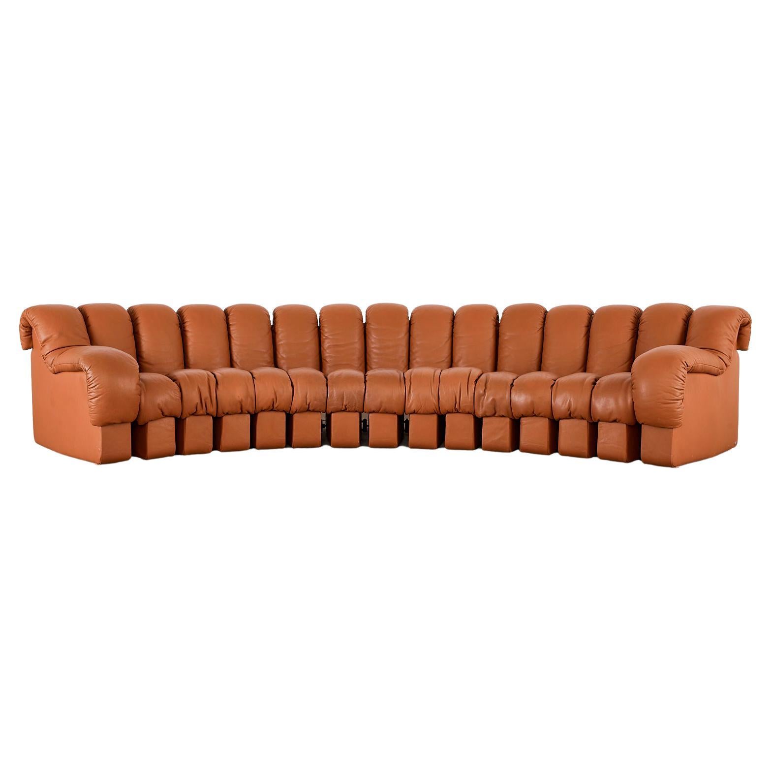 De Sede DS600 Cognac Leather Sectional Non-Stop Snake Sofa
