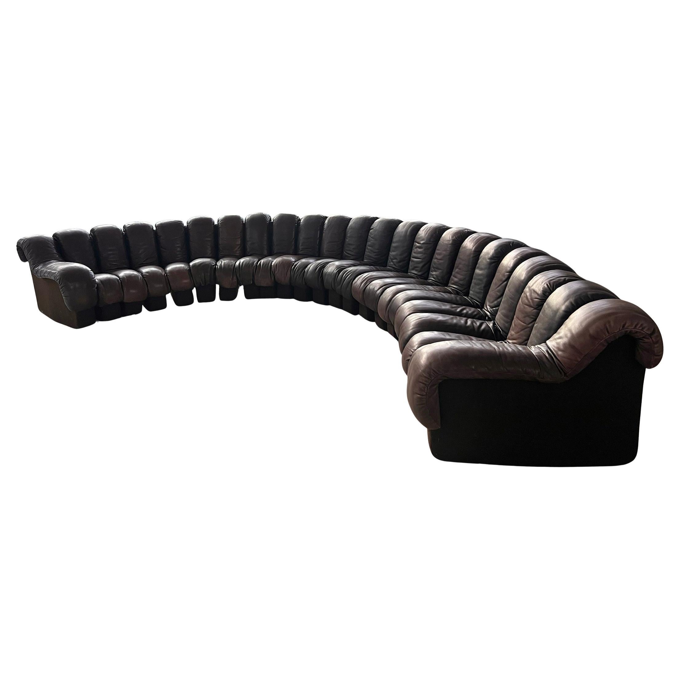 De Sede DS600 Dark Chocolate Brown Leder 23 Pieces Non-Stop Snake Sofa, 1970er Jahre