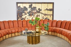 De Sede DS600 Non Stop 30 Element Leather Sectional Snake Sofa