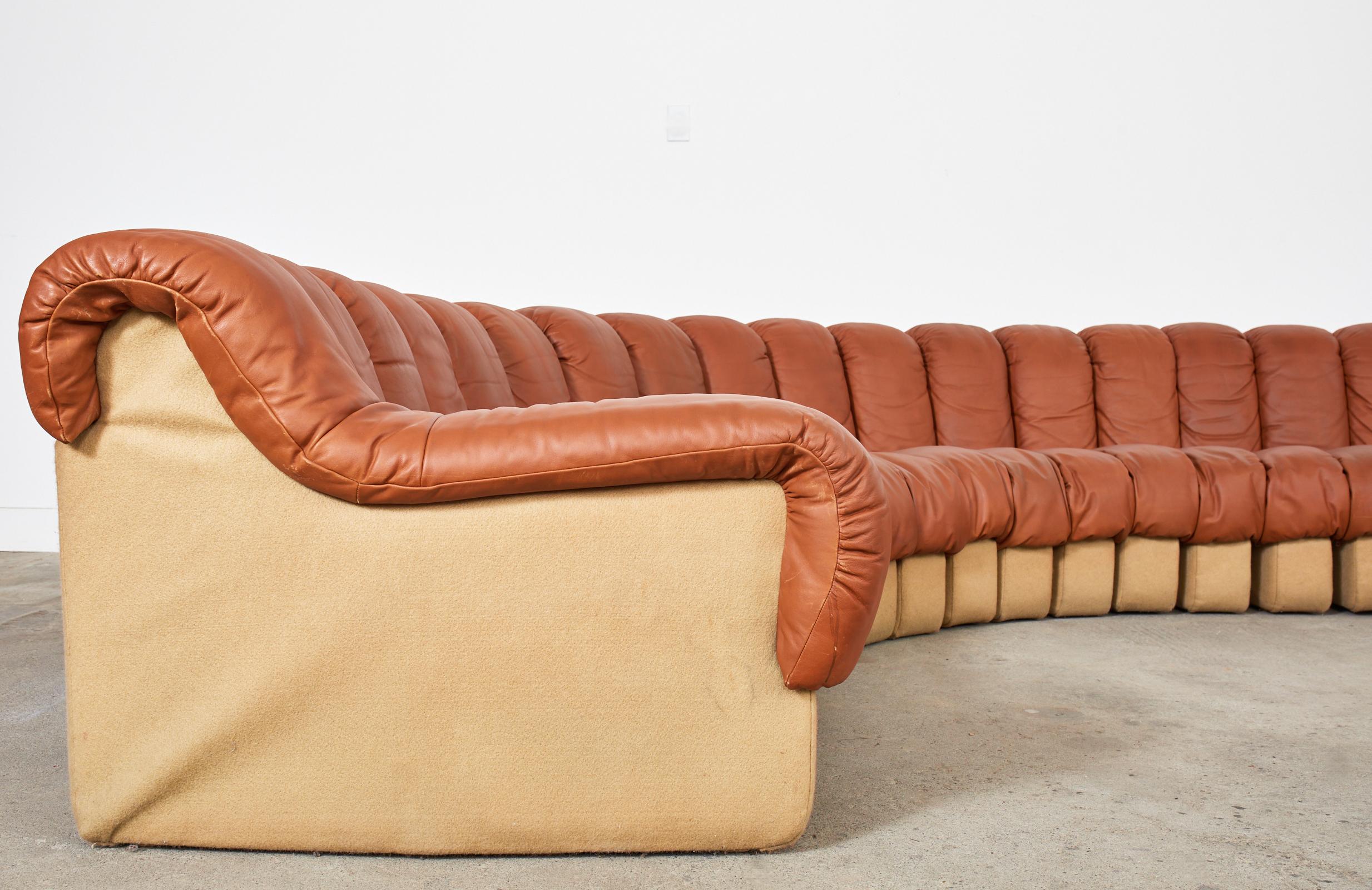 De Sede DS600 Non Stop 30 Element Leather Sectional Snake Sofa 2