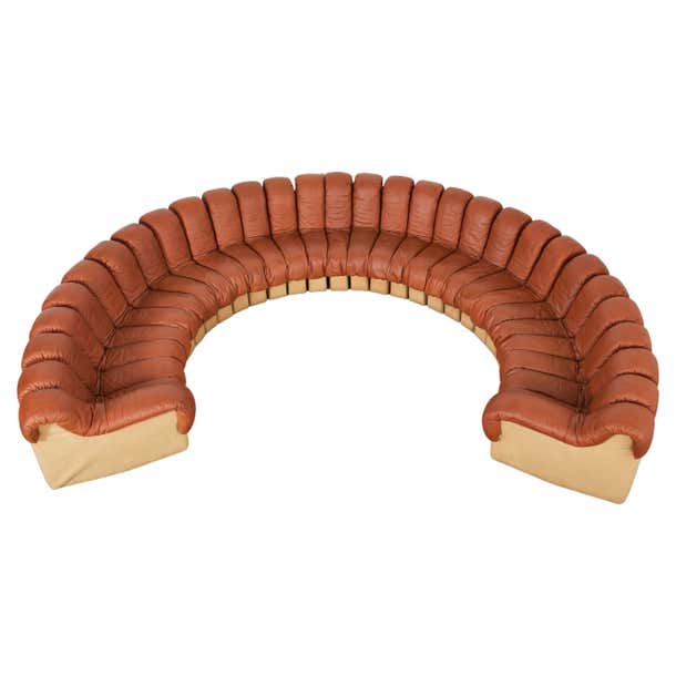 De Sede DS600 Non Stop 30 Element Leather Sectional Snake Sofa at 1stDibs