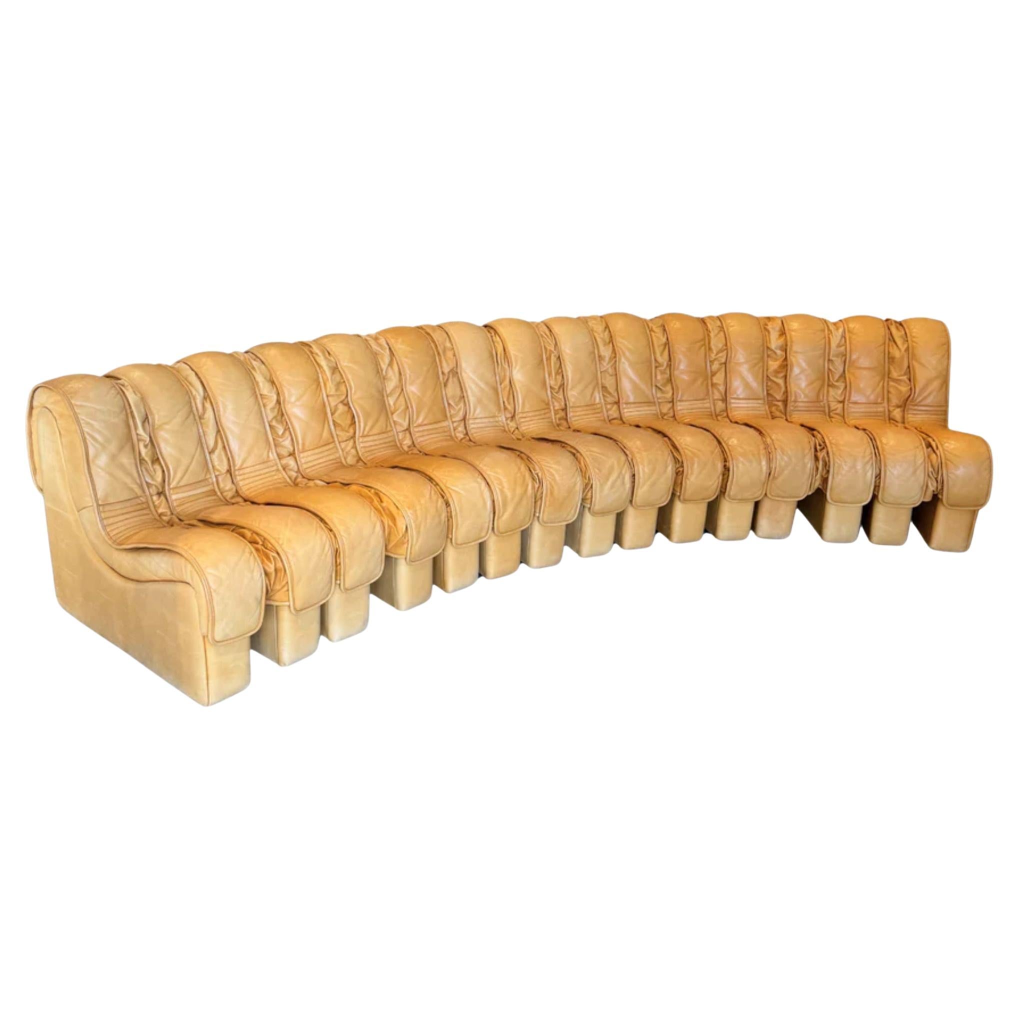 DS600 'Snake' Sectional Sofa by De Sede, Switzerland, 1970s