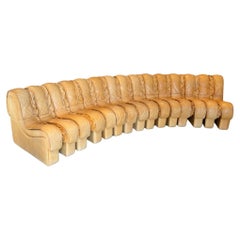 DS600 'Snake' Sectional Sofa by De Sede, Switzerland, 1970s