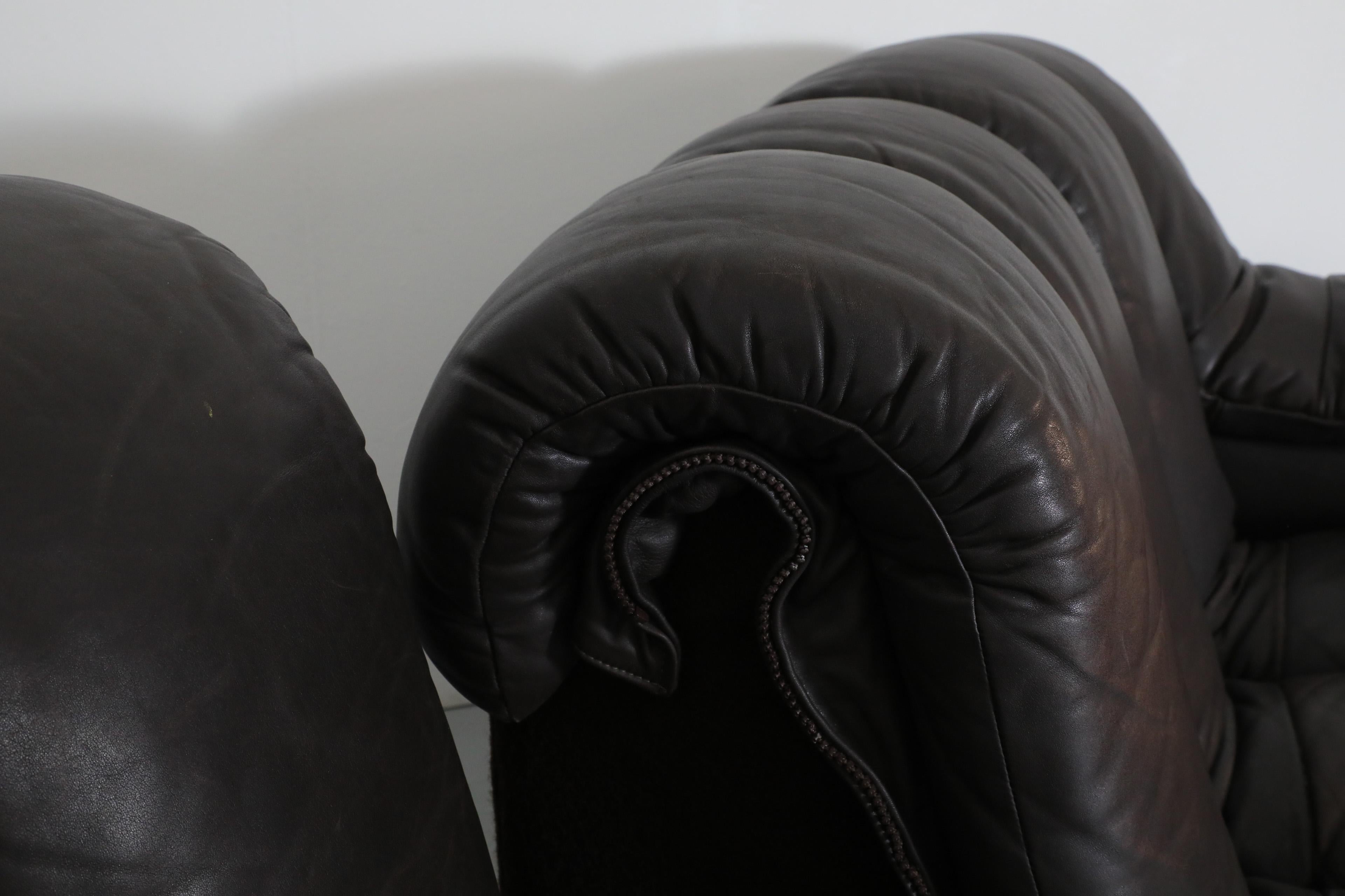De Sede DS600 Ueli Berger Cuero Marrón Oscuro Sofá de 22 Piezas 
