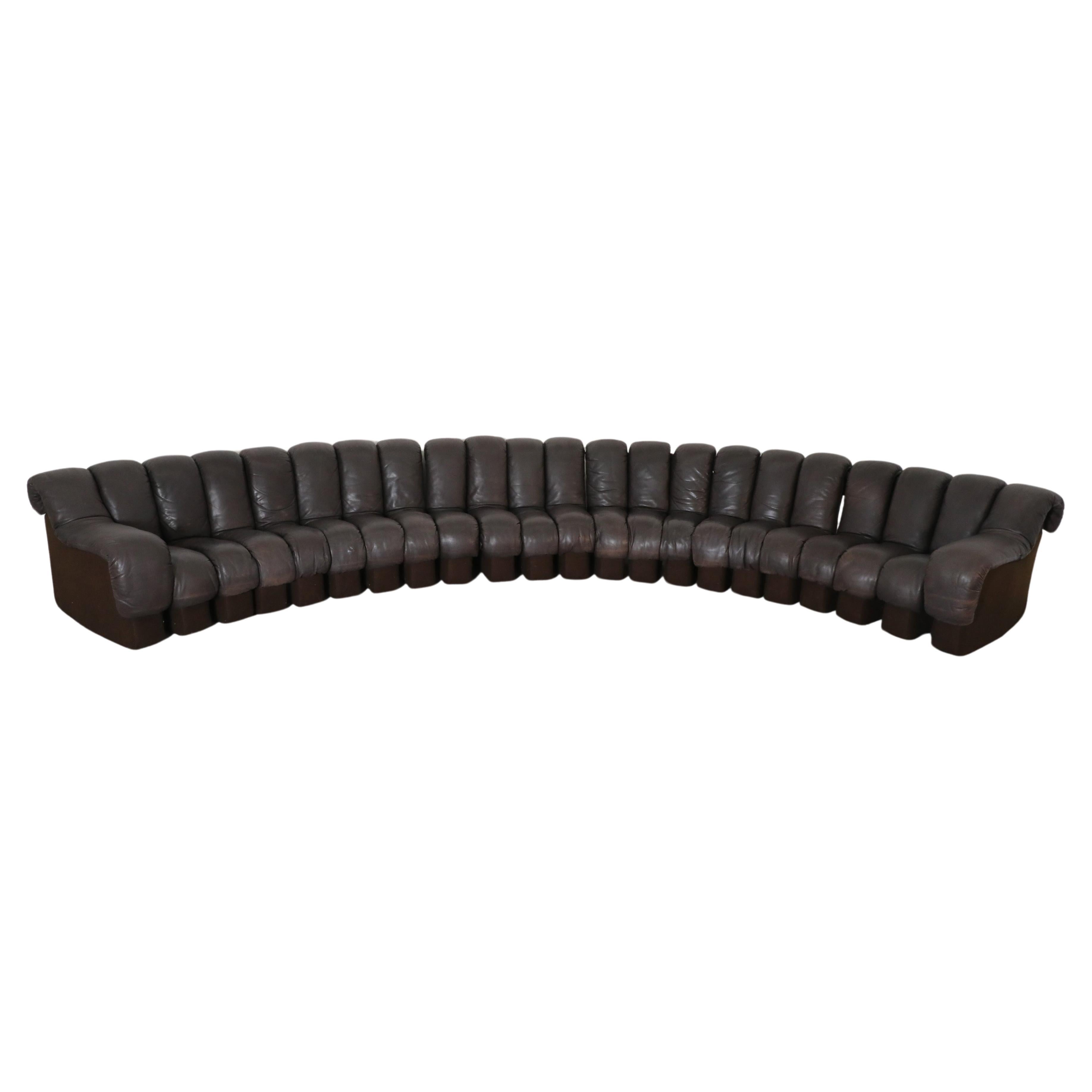 De Sede DS600 Ueli Berger Dark Brown Leather 22 Piece "Non-Stop" Snake Sofa