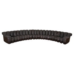 Used De Sede DS600 Ueli Berger Dark Brown Leather 22 Piece "Non-Stop" Snake Sofa
