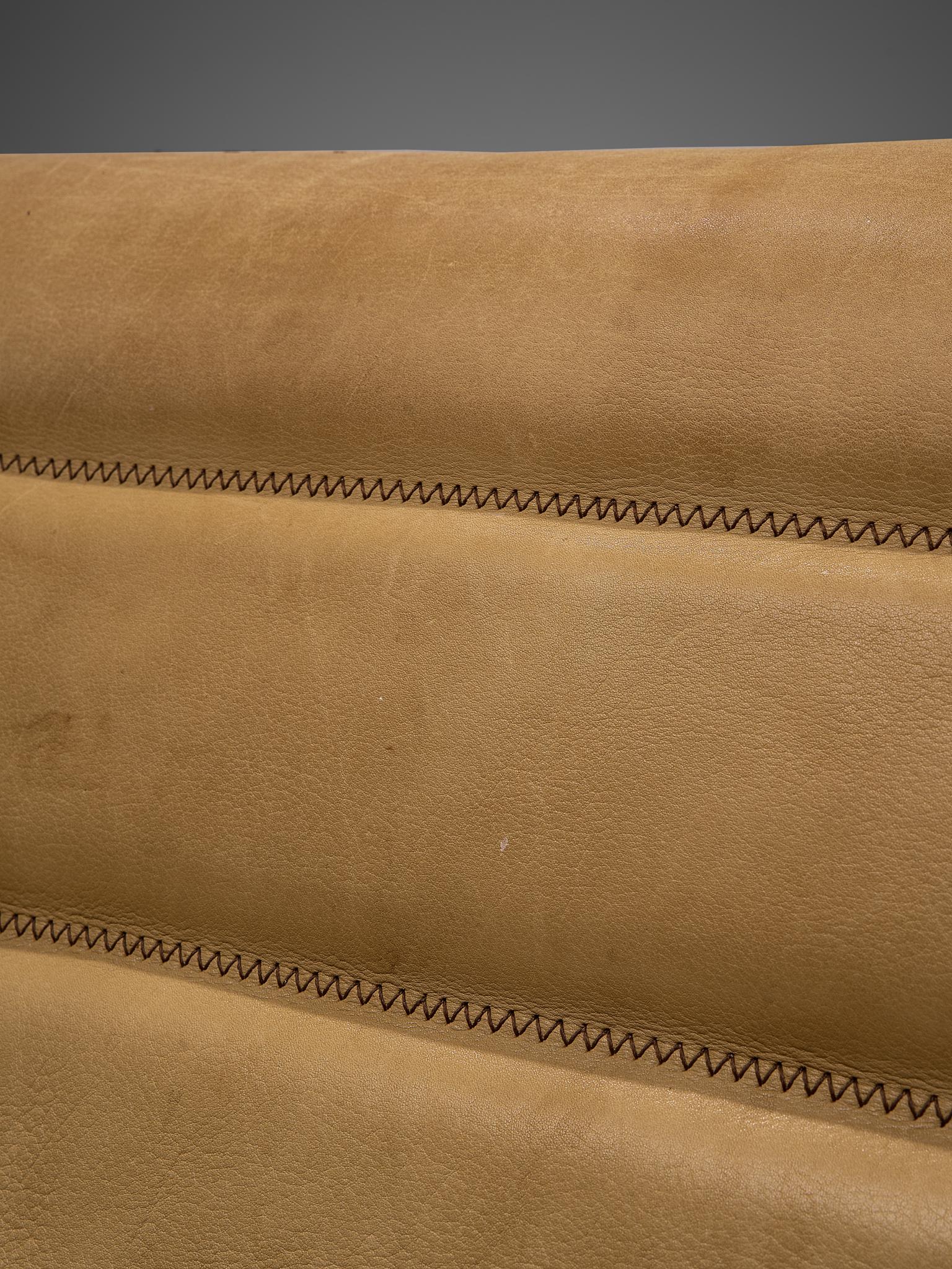 De Sede 'DS-84' Sofa in Buffalo Leather 4