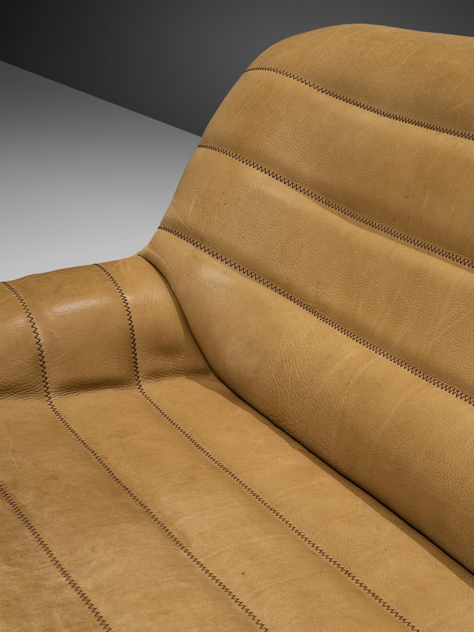 De Sede 'DS84' Sofa aus Buffalo-Leder 1