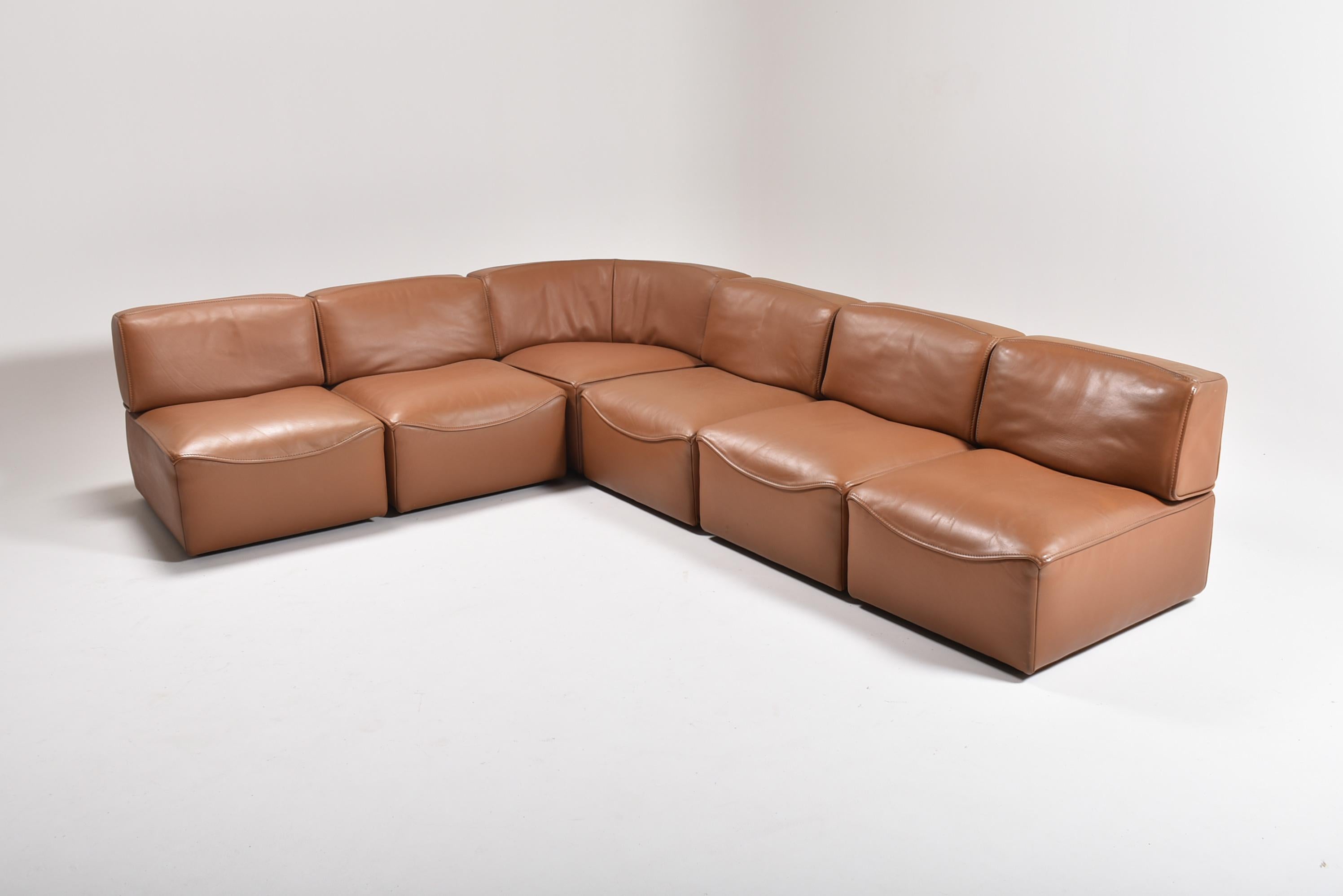 De Sede Leather Sectional Sofa DS 15, Switzerland, 1970s 13