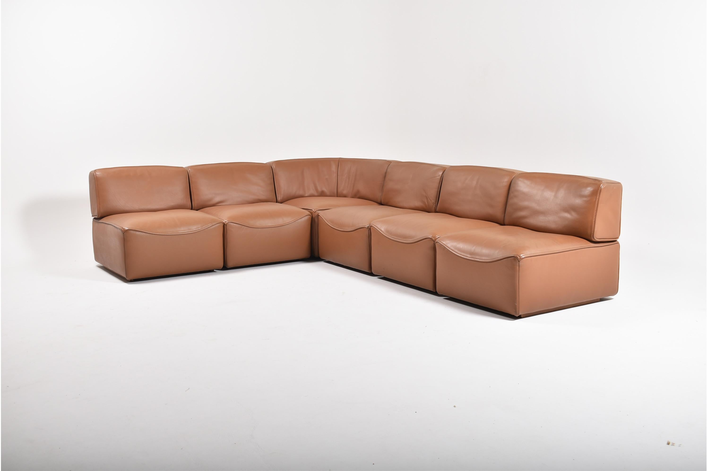 Mid-Century Modern De Sede Leather Sectional Sofa DS 15, Switzerland, 1970s