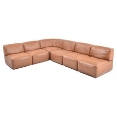 De Sede Leather Sectional Sofa DS 15, Switzerland, 1970s