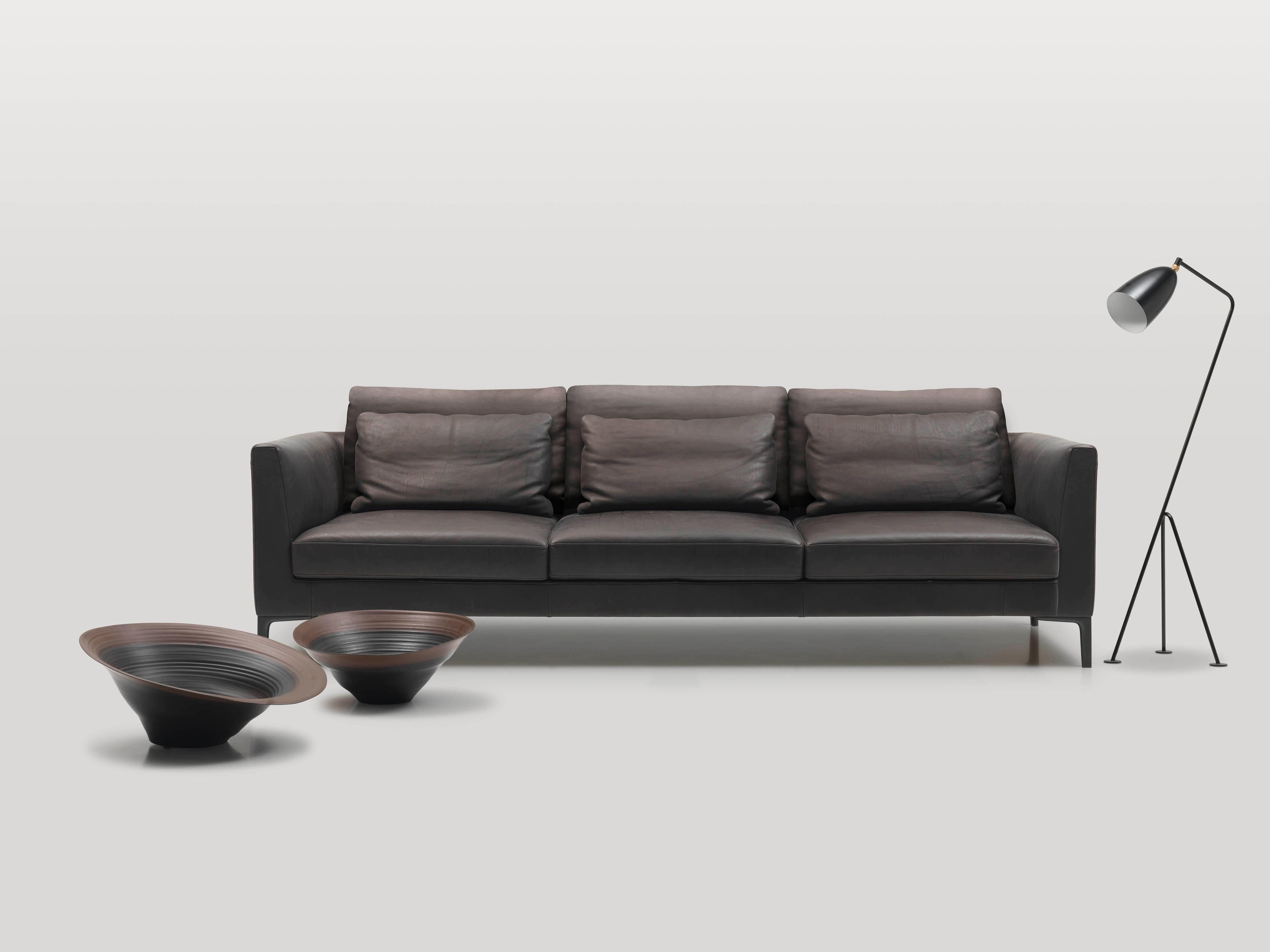 DS-49/03 3-seat sofa by De Sede. 

Technical details:
Standard configuration: Back cushion and cushion in leather. Legs polished aluminium.
Upholstery and Assembly: stabile compact frame made from solid beech and board material. Belted