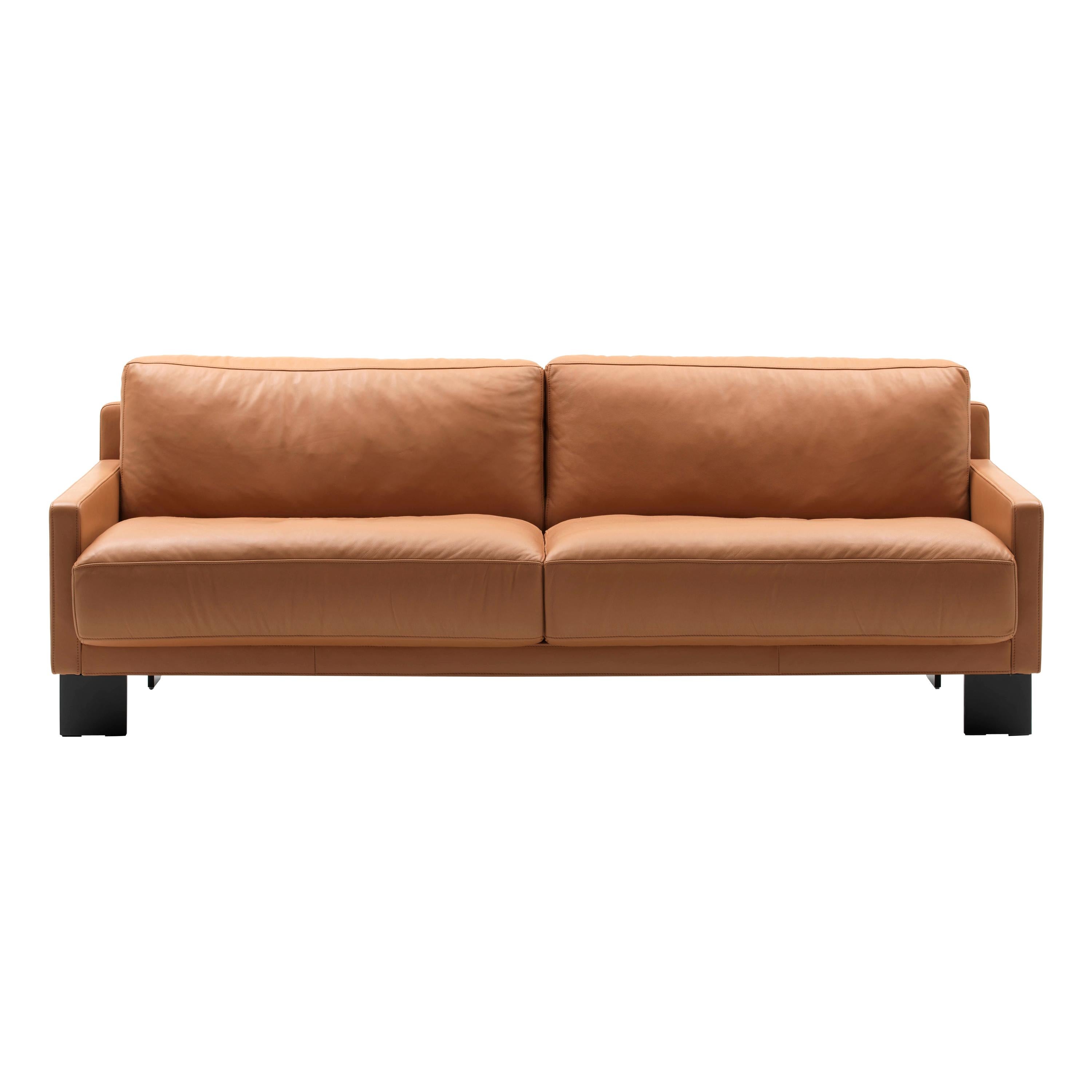 For Sale: Orange (Hazel) De Sede Leather Sofa by Stephan Hürlemann