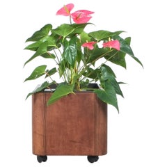 De Sede Planter DS 47 Series Leather Wrapped, Switzerland, Circa 1970