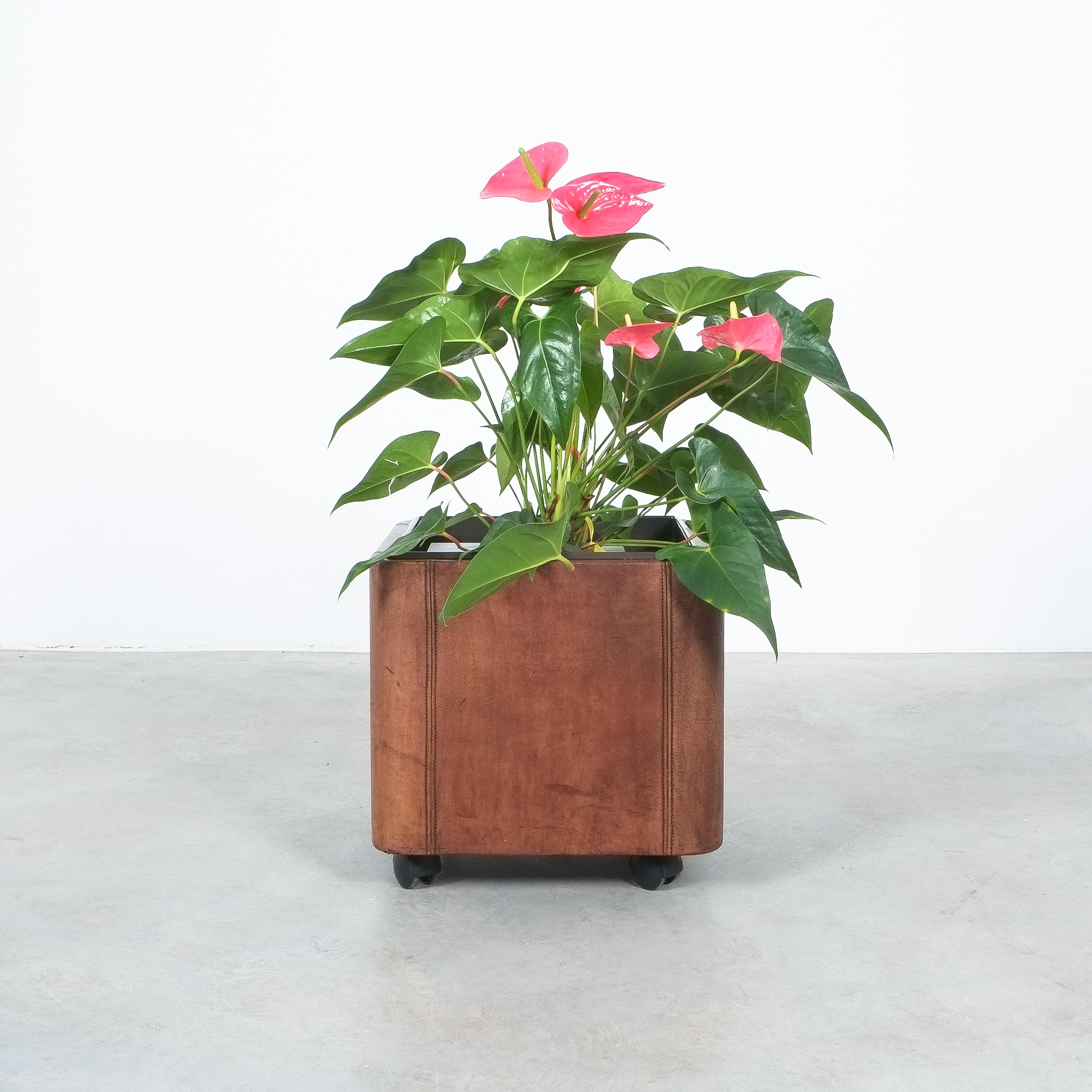 Rare planter by De Sede Switzerland wrapped in leather and in great condition 

16.5“ square planter on casters with a blackened metal insertion. It’s wrapped in the thick trademark bull leather of the DS 47 series. The condition is very good,