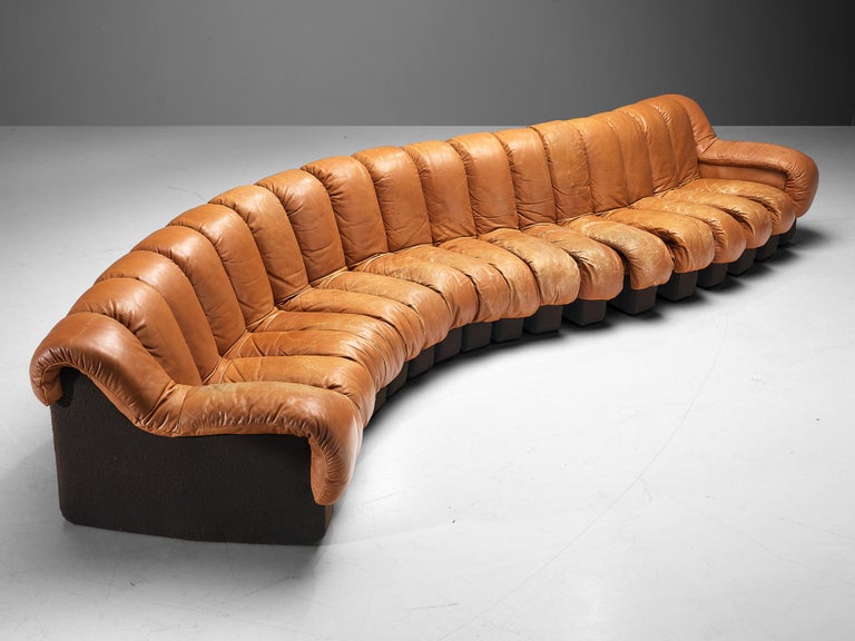 De Sede Ds 600 Snake Sectional Sofa, Leather Sectional Sofas In Atlanta