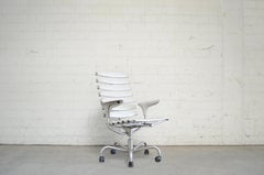 De Sede Skeleton Chair Ds 2100/ 151 Office Chair
