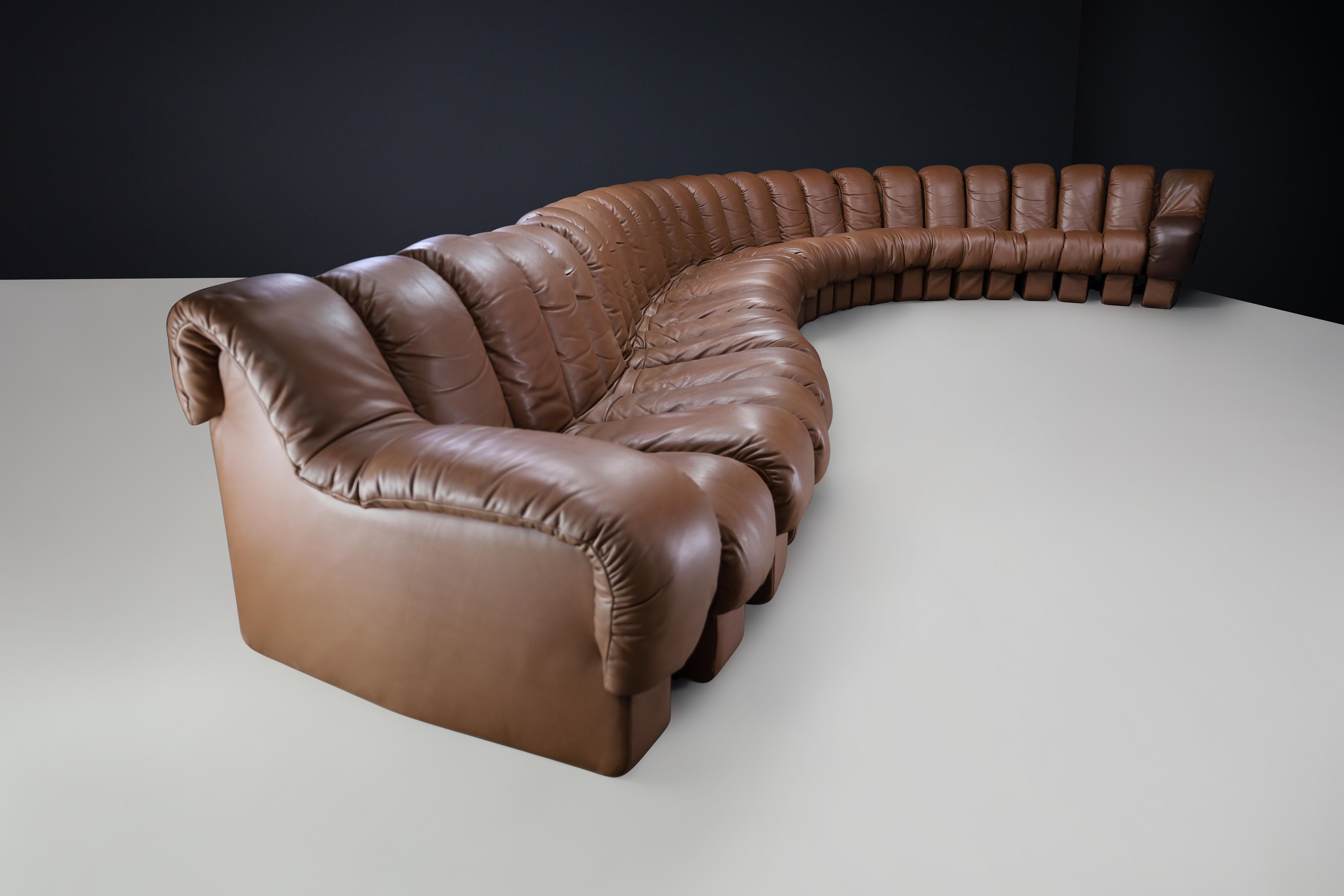 Mid-Century moderno De Sede, divano componibile 'Snake' DS-600 in 27 elementi, pelle marrone. in vendita