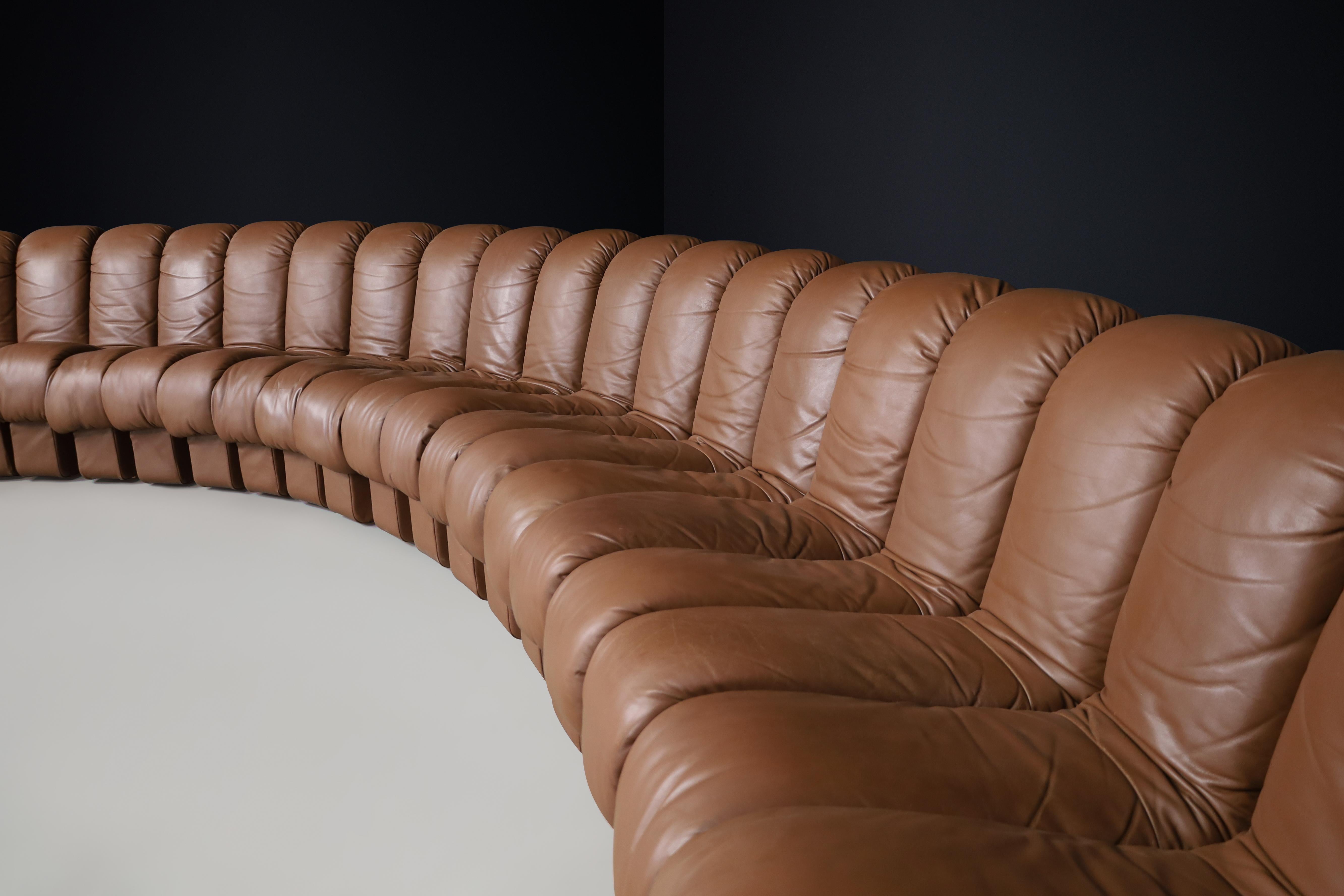 Pelle De Sede, divano componibile 'Snake' DS-600 in 27 elementi, pelle marrone. in vendita