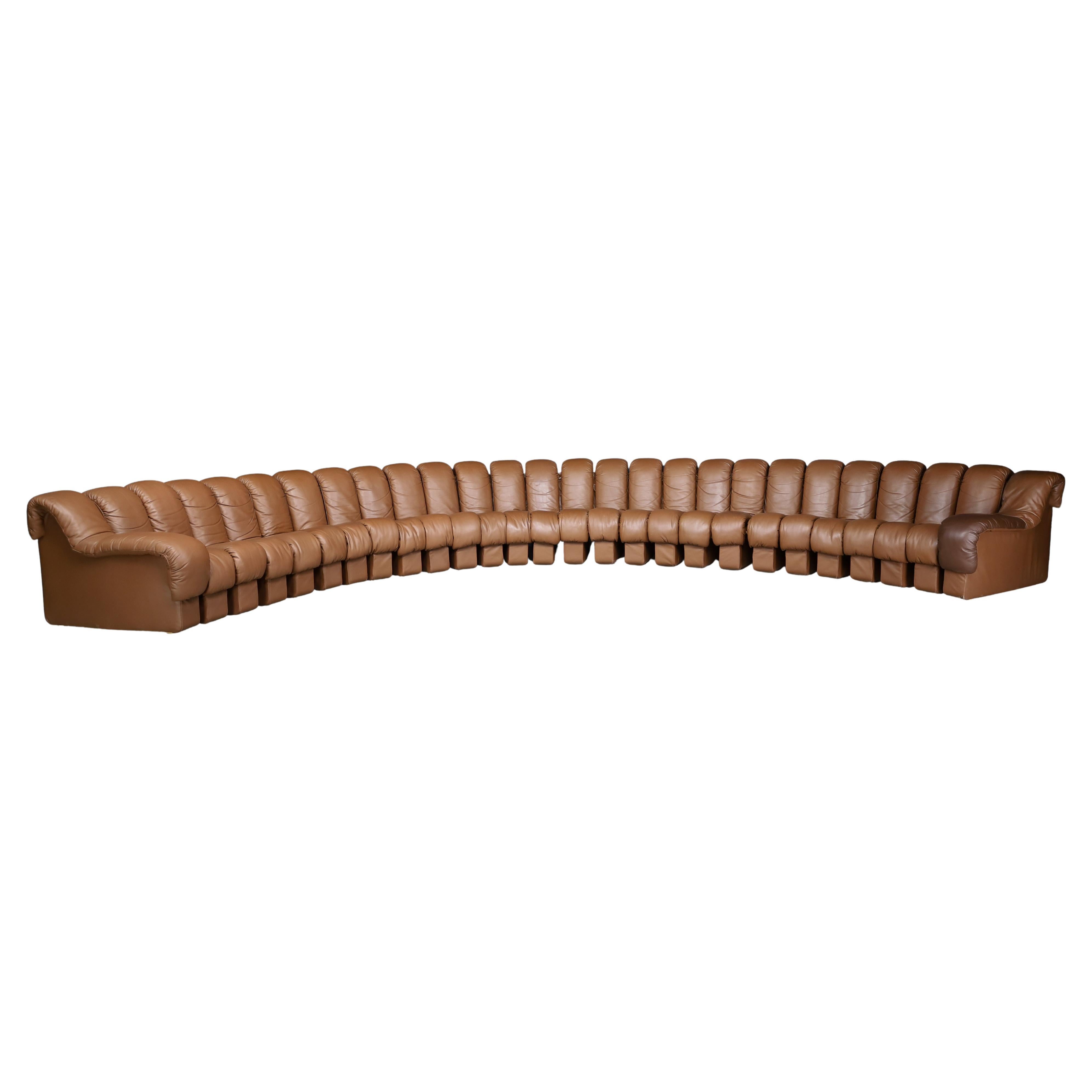 De Sede, divano componibile 'Snake' DS-600 in 27 elementi, pelle marrone.