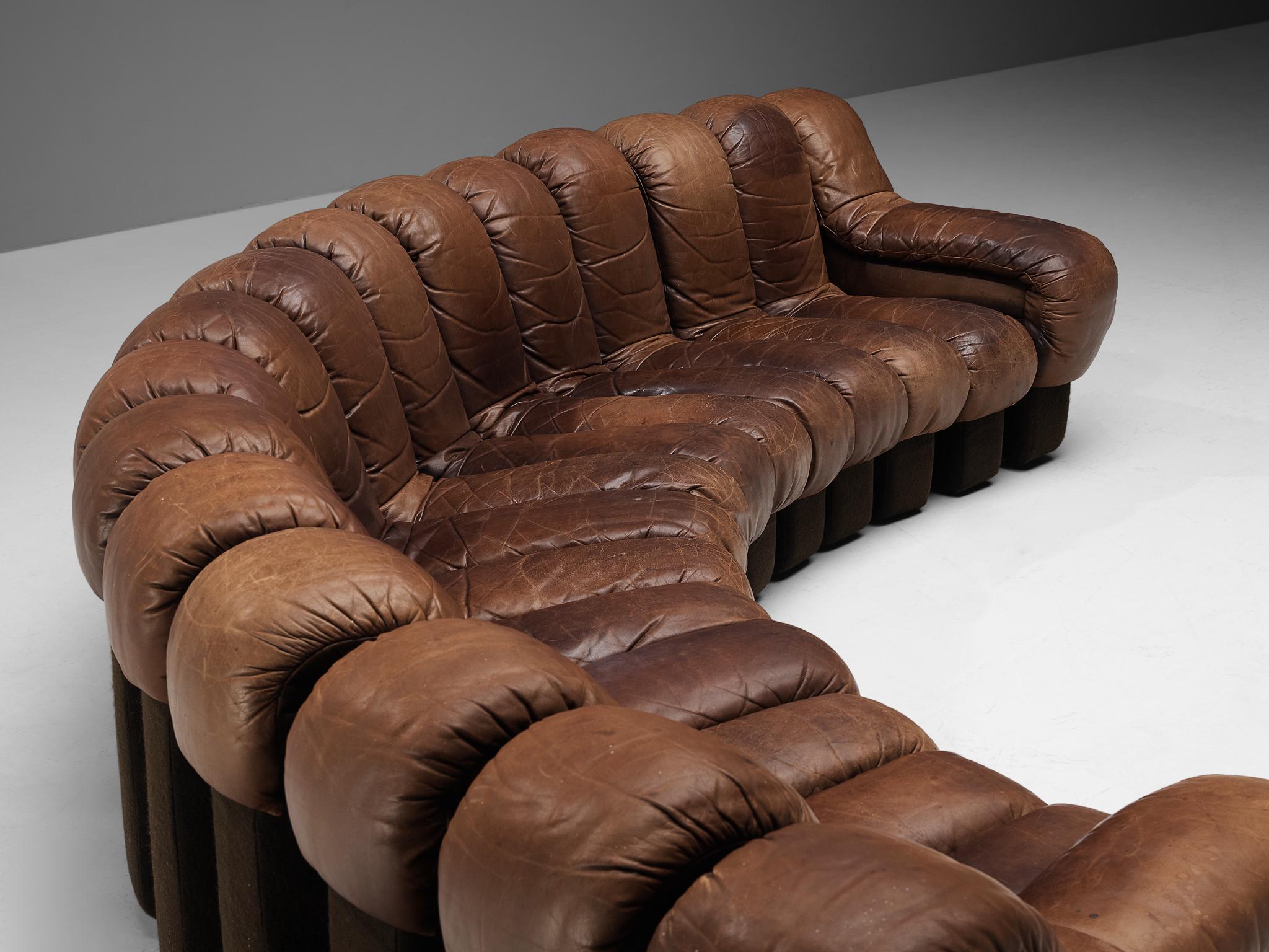 snake couch